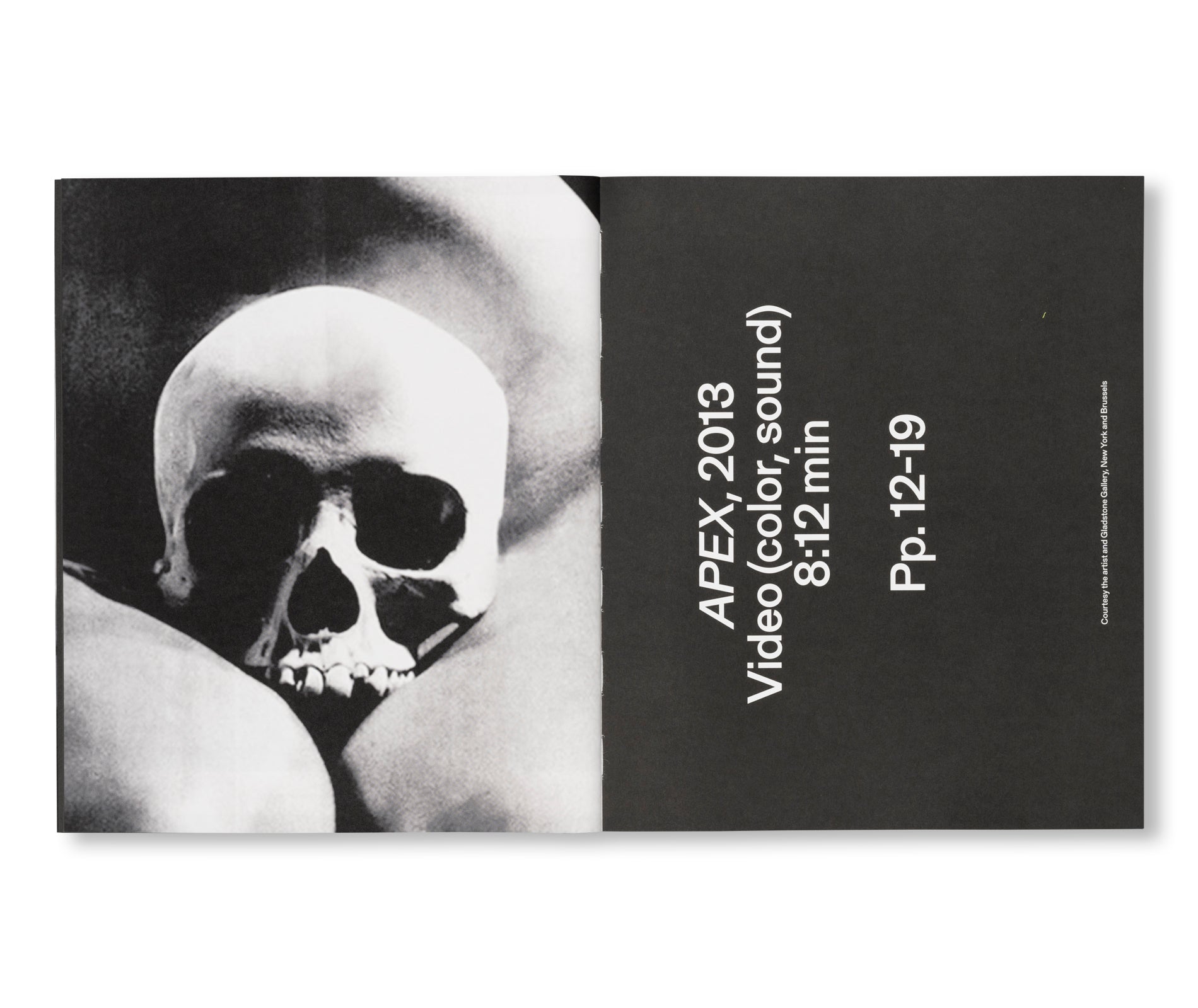 MAGNUMB by Arthur Jafa