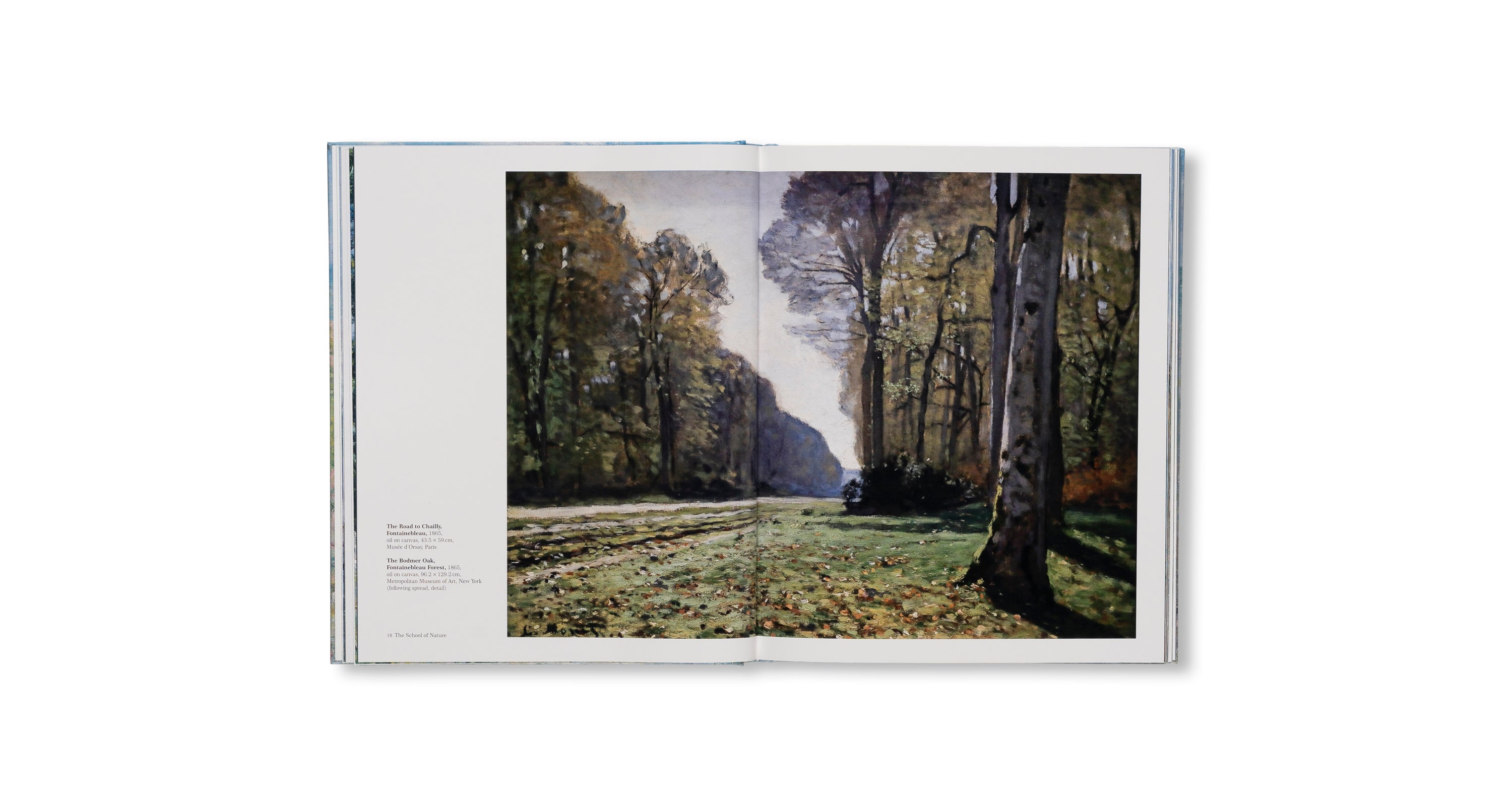 MONET - THE BIGGER PICTURE by Anne Sefrioui