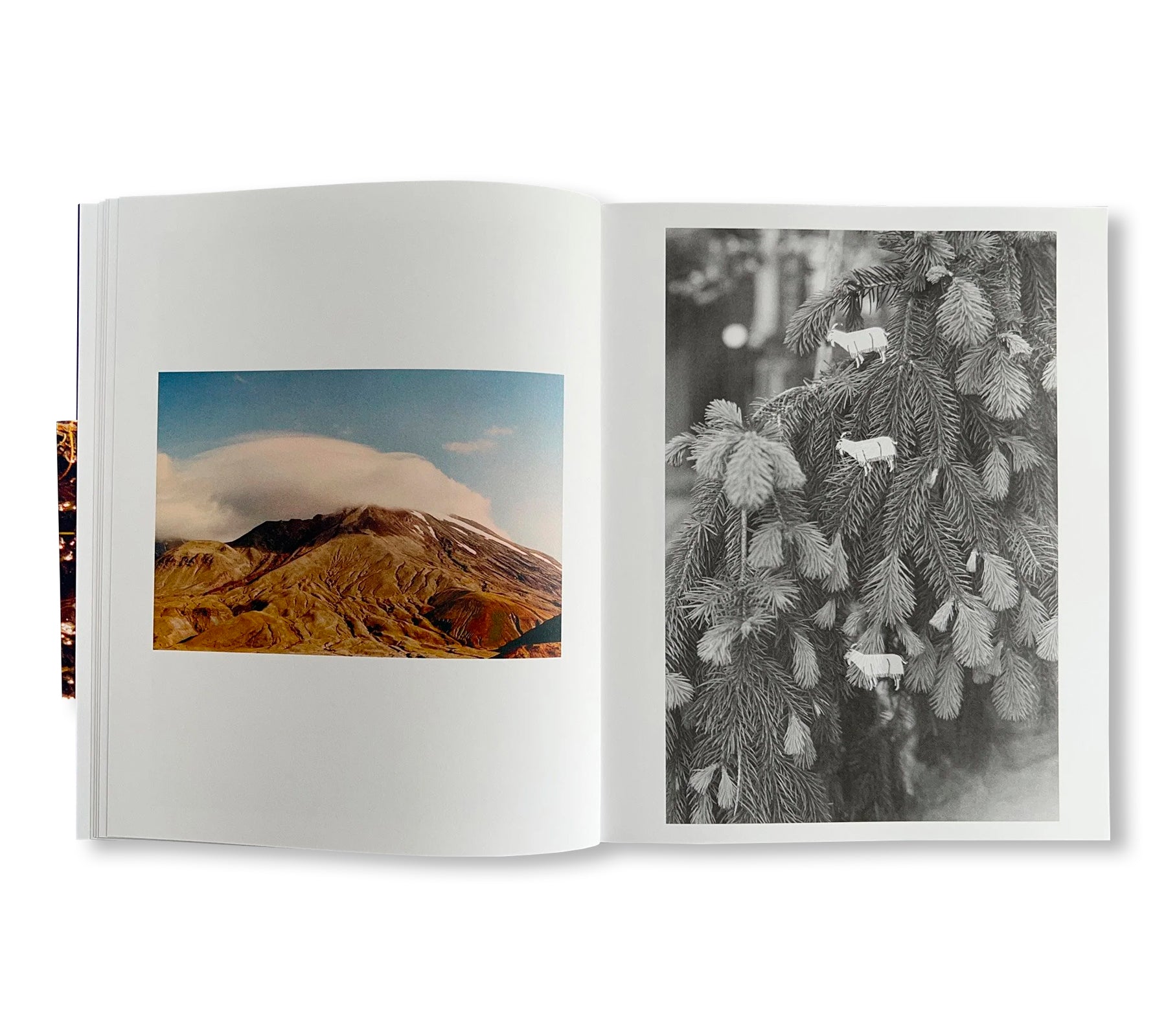 GATES TO THE GARDEN by Adam Kremer