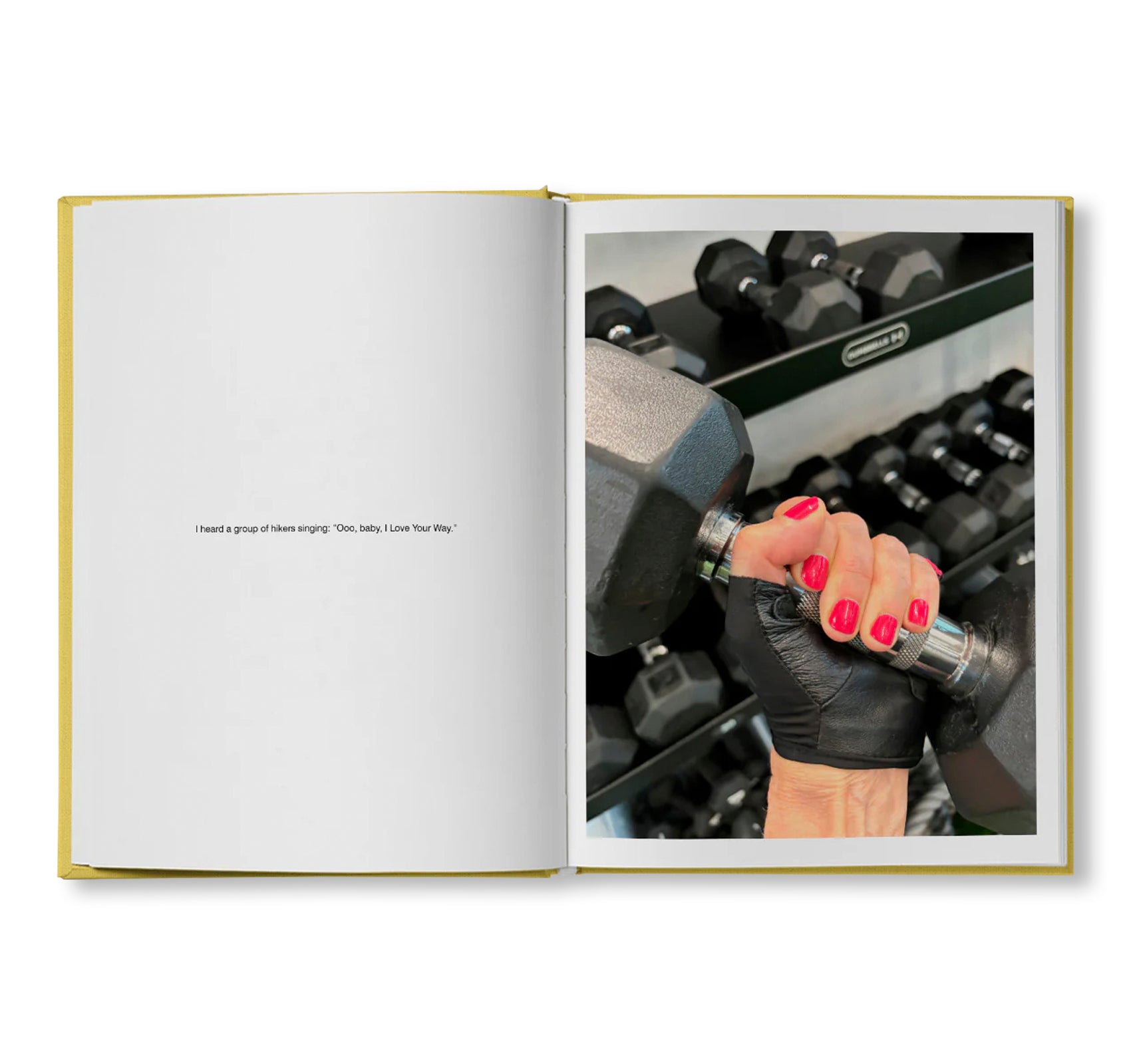 IRREVERSIBLE ORDER by Lisa Donneson