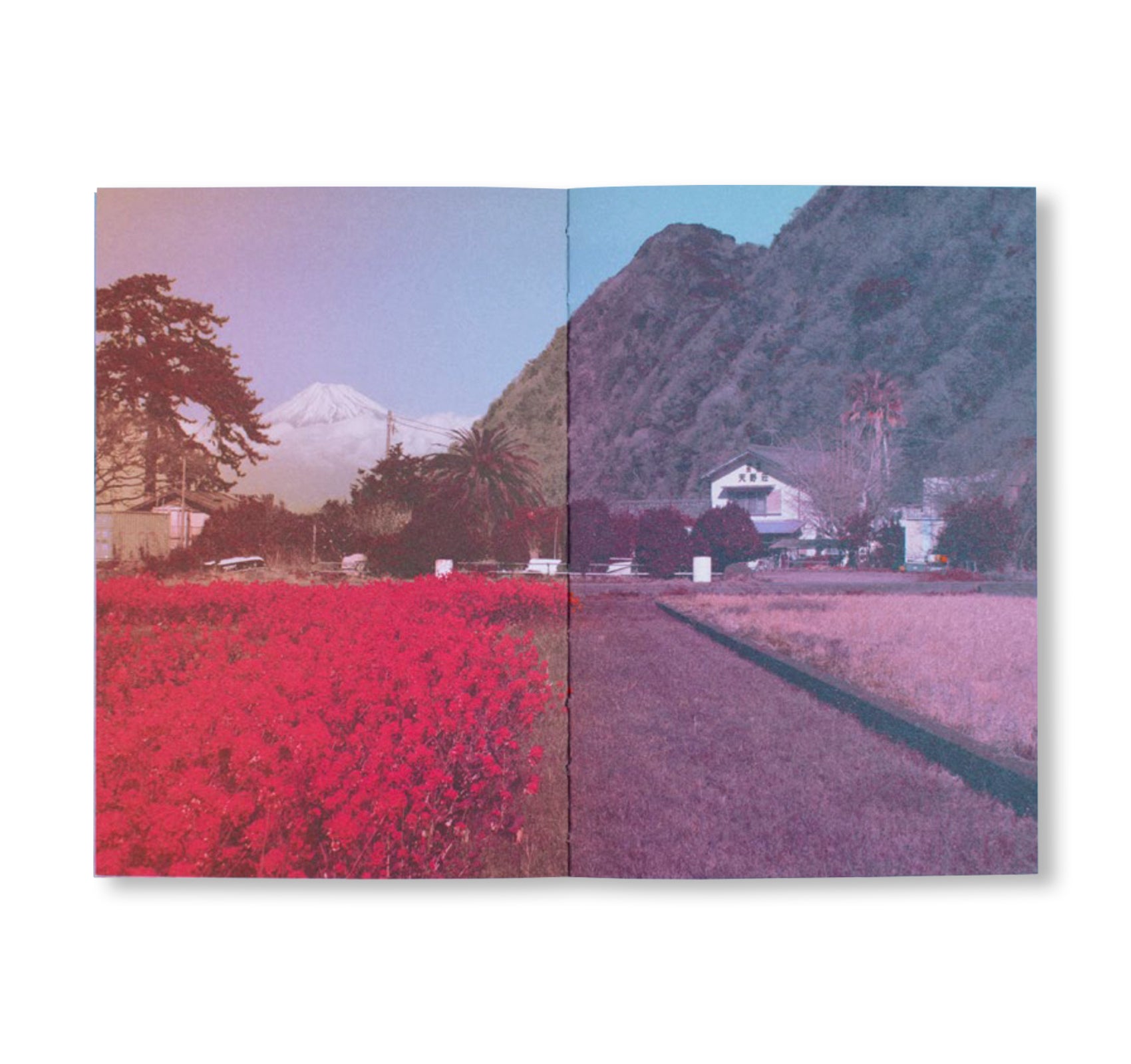 FUJI by Fanette Mellier, Clément Vauchez