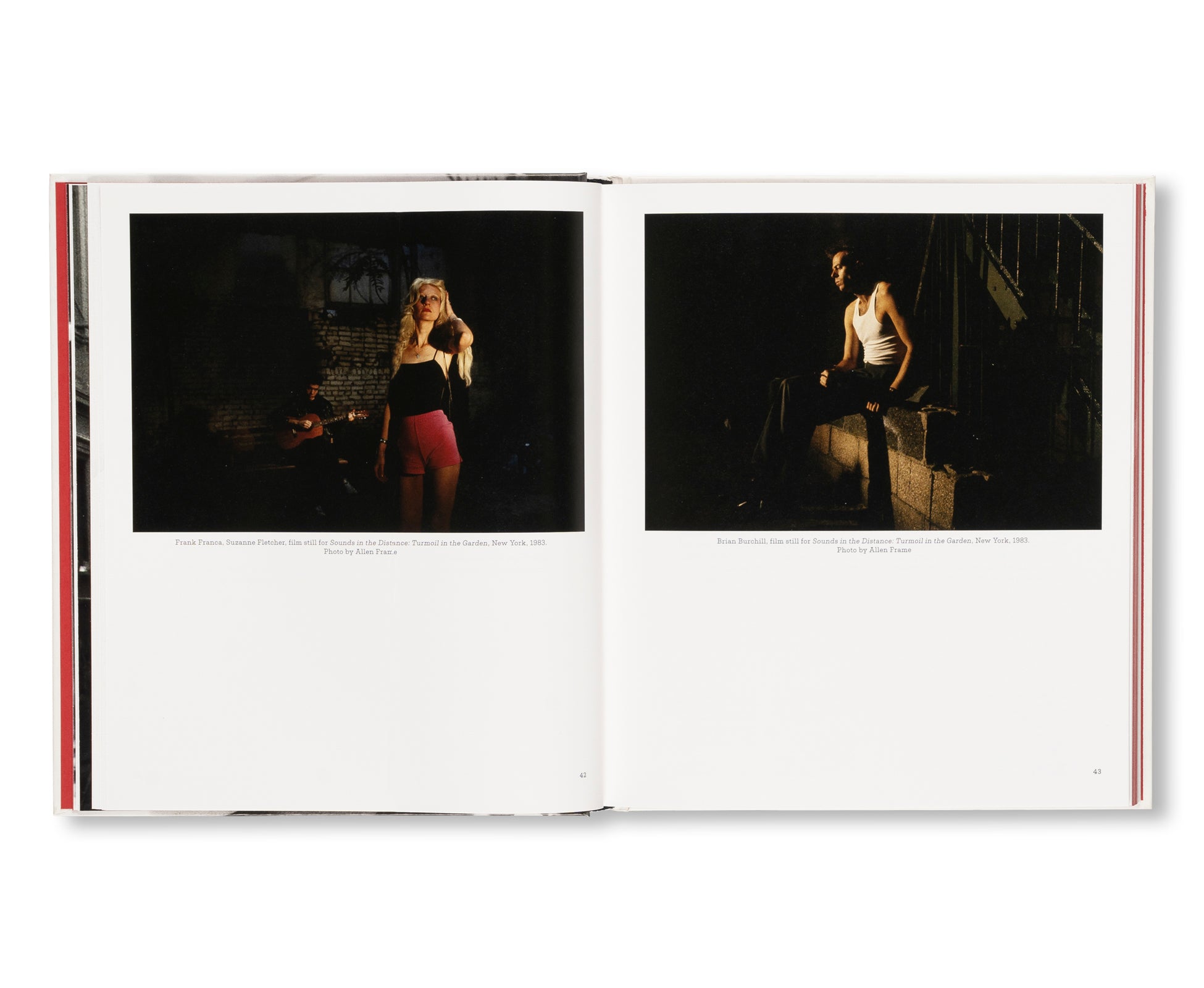 ARTHUR RIMBAUD IN NEW YORK by David Wojnarowicz