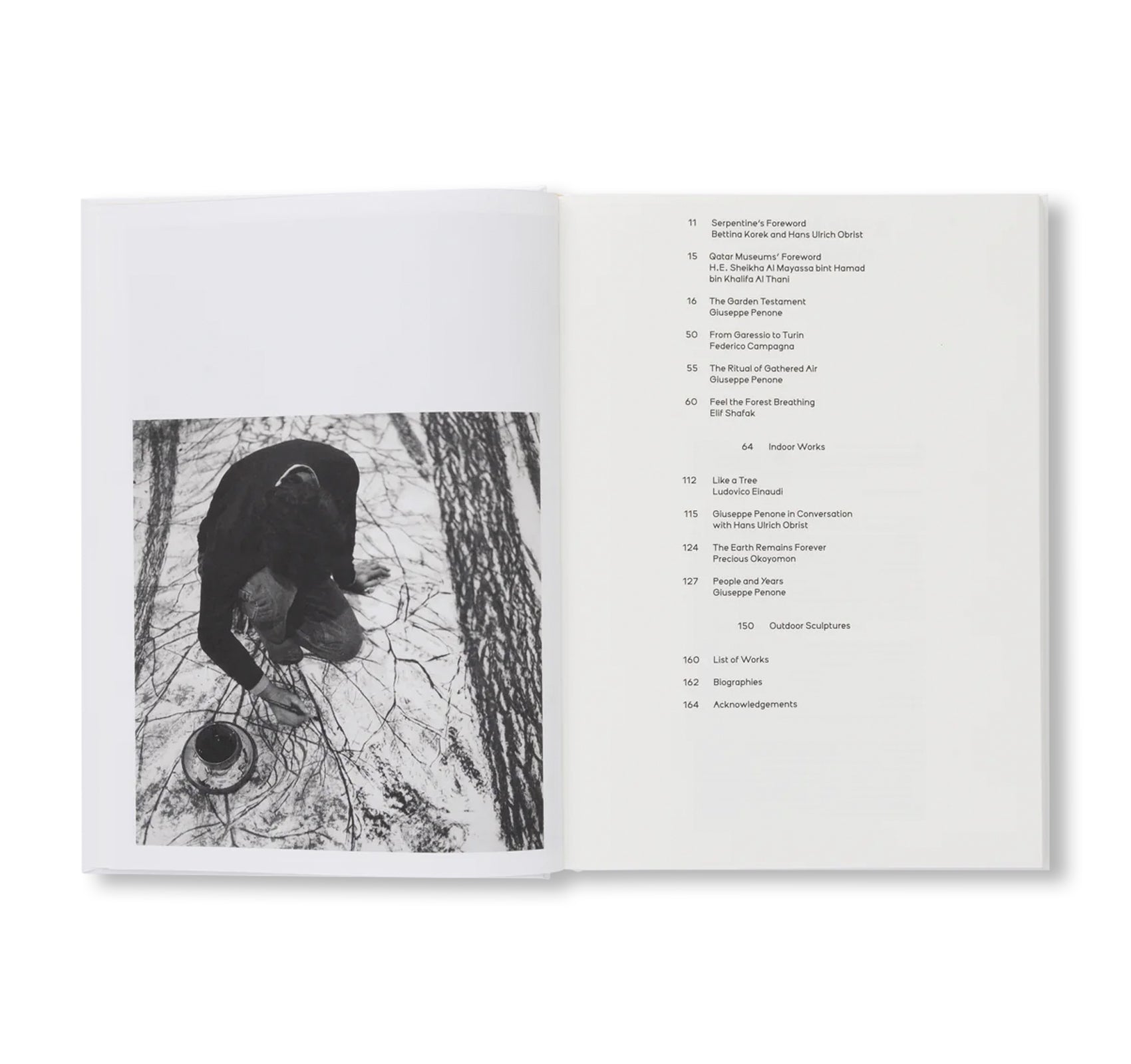 GIUSEPPE PENONE: THOUGHTS IN THE ROOTS by Giuseppe Penone