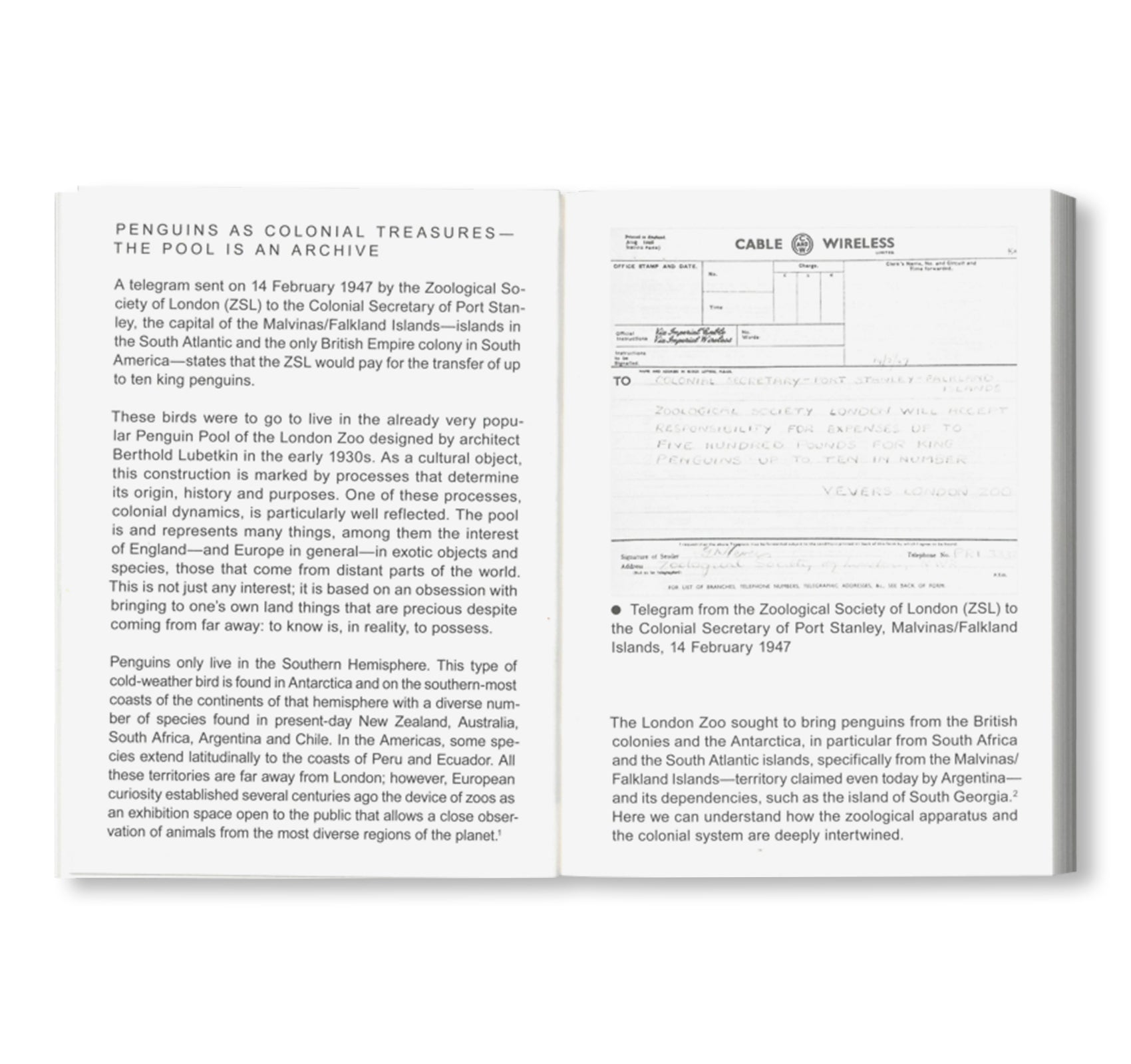 BAUHAUS TASCHENBUCH 28 - NOT A PENGUIN POOL: ECHOES OF MORE-THAN-HUMAN ENTANGLEMENTS by Stiftung Bauhaus Dessau