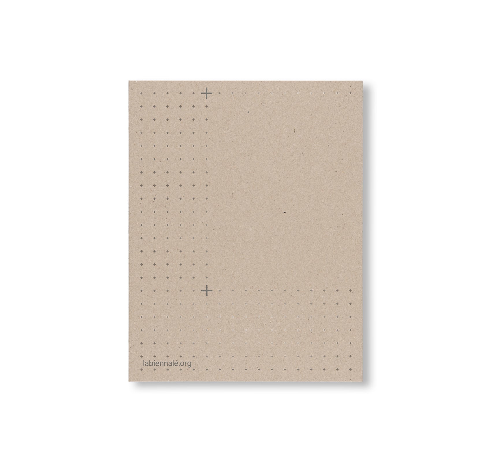 BIENNALE ARCHITETTURA 2025: INTELLIGENS. NATURAL. ARTIFICIAL. COLLECTIVE.