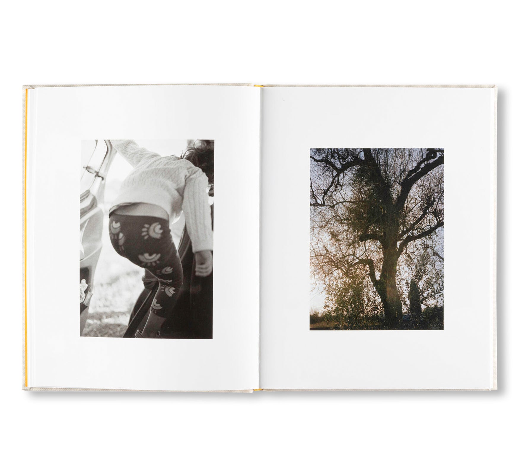 INSIEME by Irina Rozovsky, Mark Steinmetz