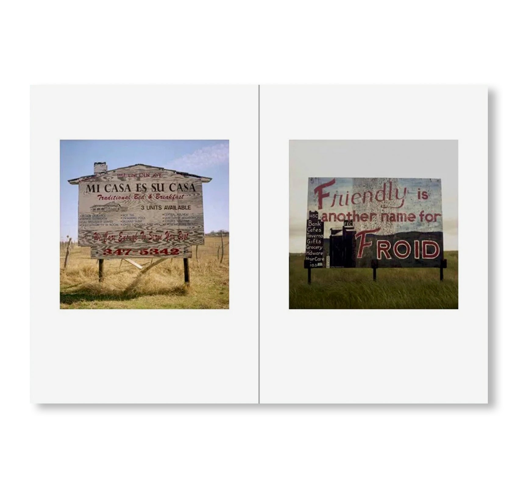 ONE PICTURE BOOK TWO #50: PLYWOOD SIGNS by Steve Fitch