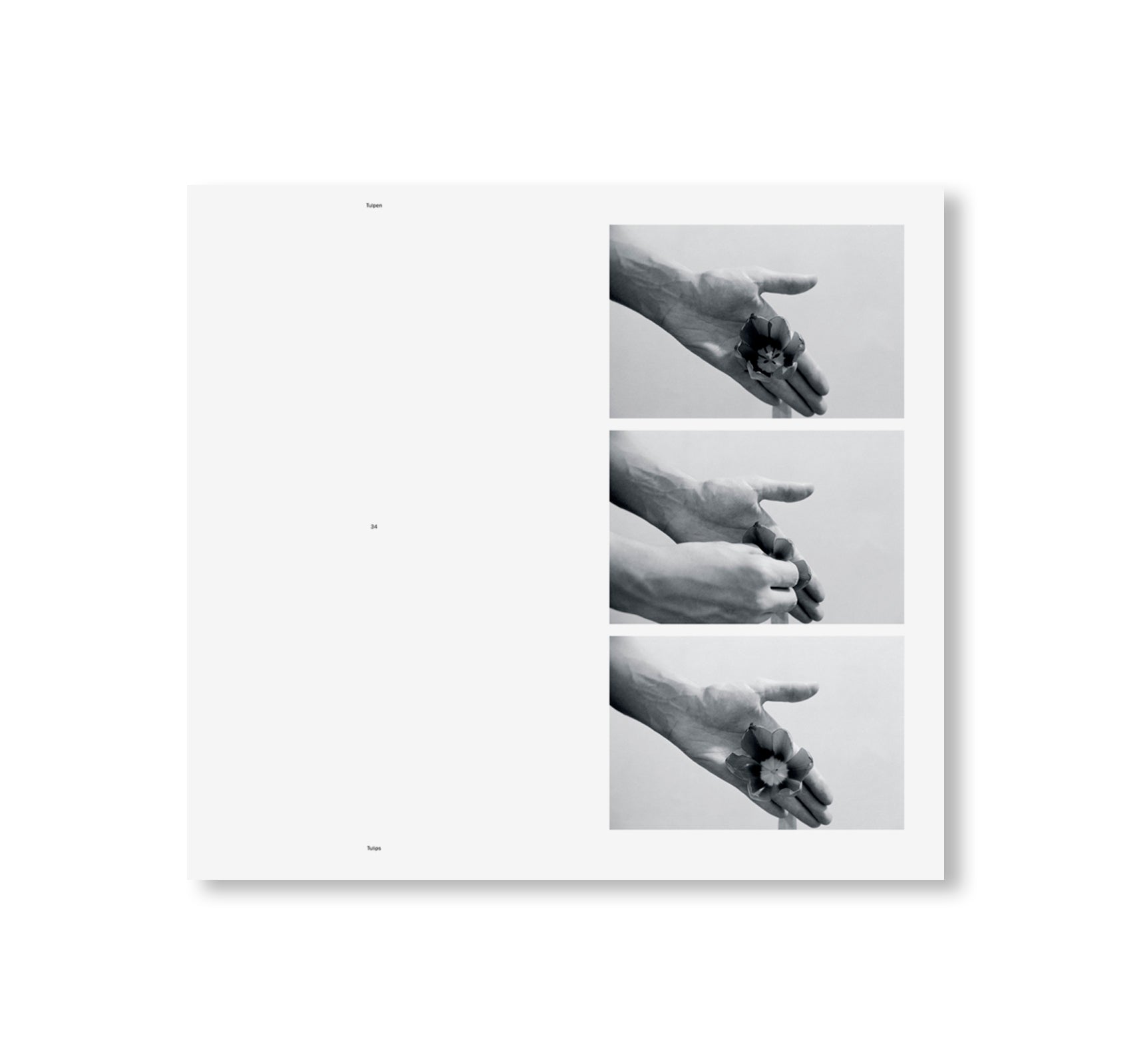HANDLUNGEN / ACTIONS by Helmut Schweizer