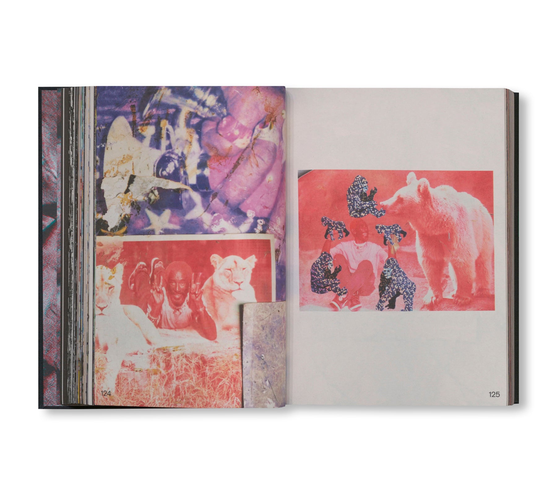 BLACK ARK by Lee Scratch Perry