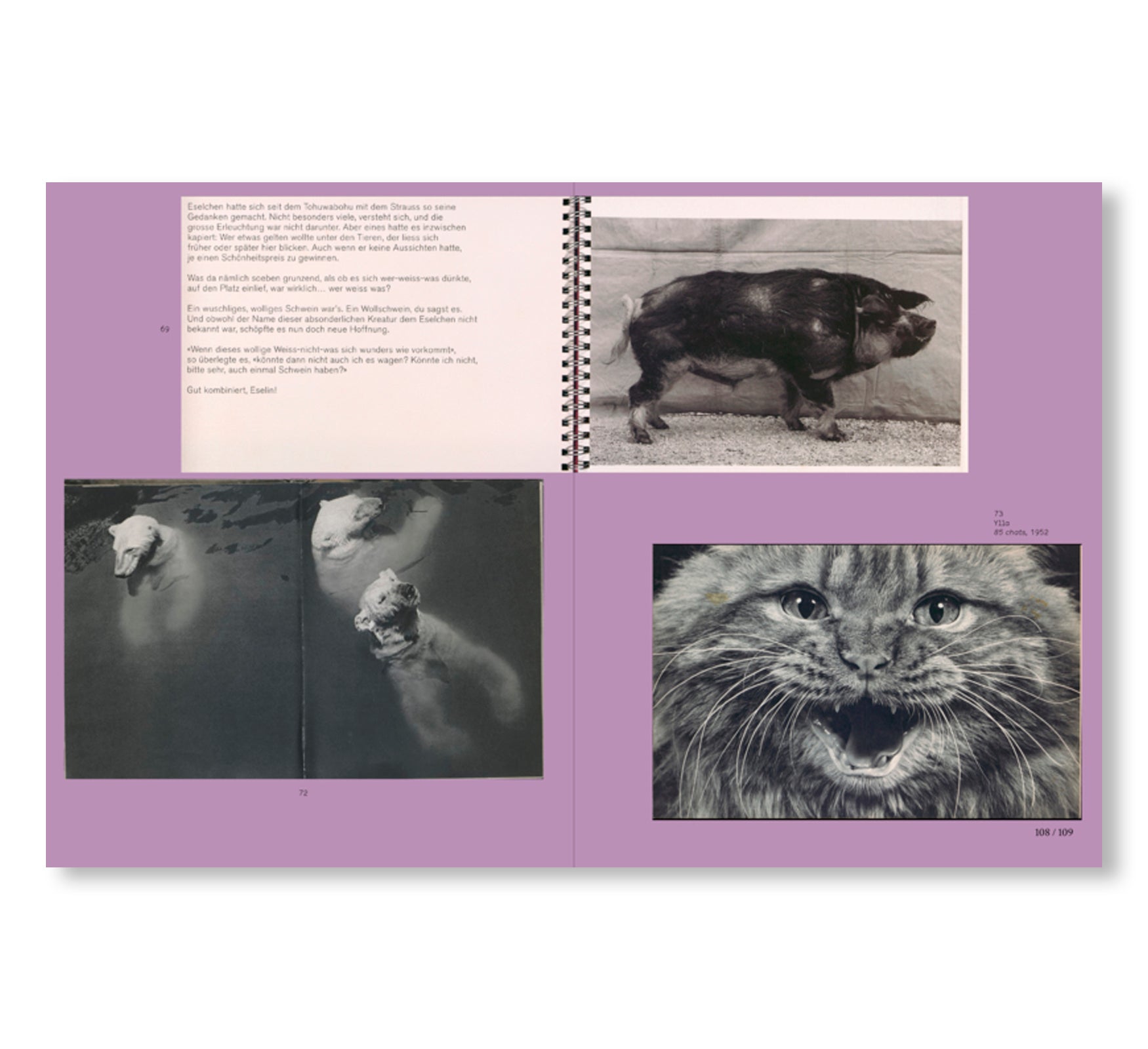 L IS FOR LOOK - CHILDREN’S PHOTOBOOKS