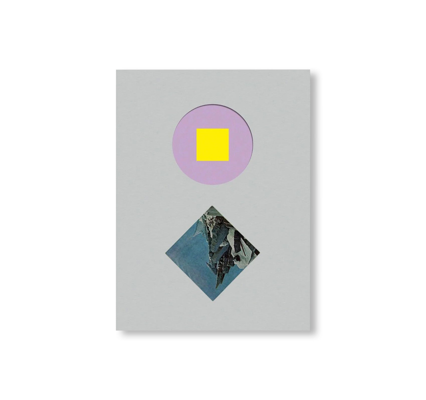 CAROL BOVE by Carol Bove (GUGGENHEIM MUSEUM)