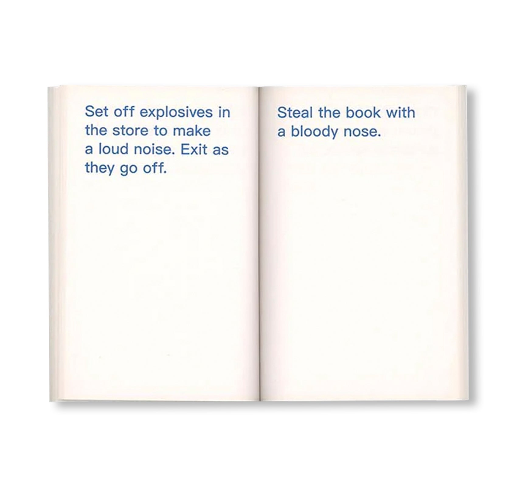 HOW TO SHOPLIFT BOOKS by David Horvitz [THIRD EDITION]
