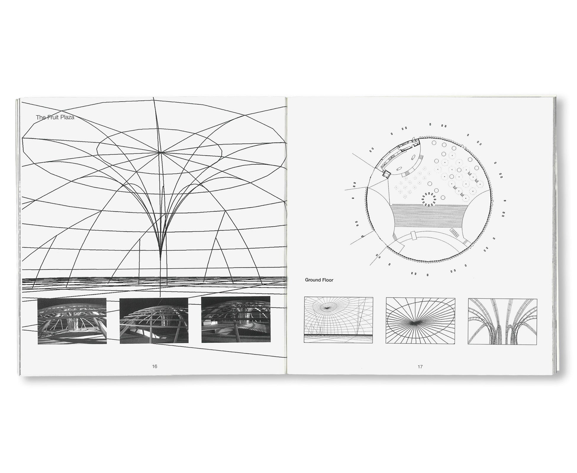 ITSUKO HASEGAWA: FLUKTUATION - THE FRUIT GARDEN IN YAMANASHI AND OTHER PROJECTS by Itsuko Hasegawa