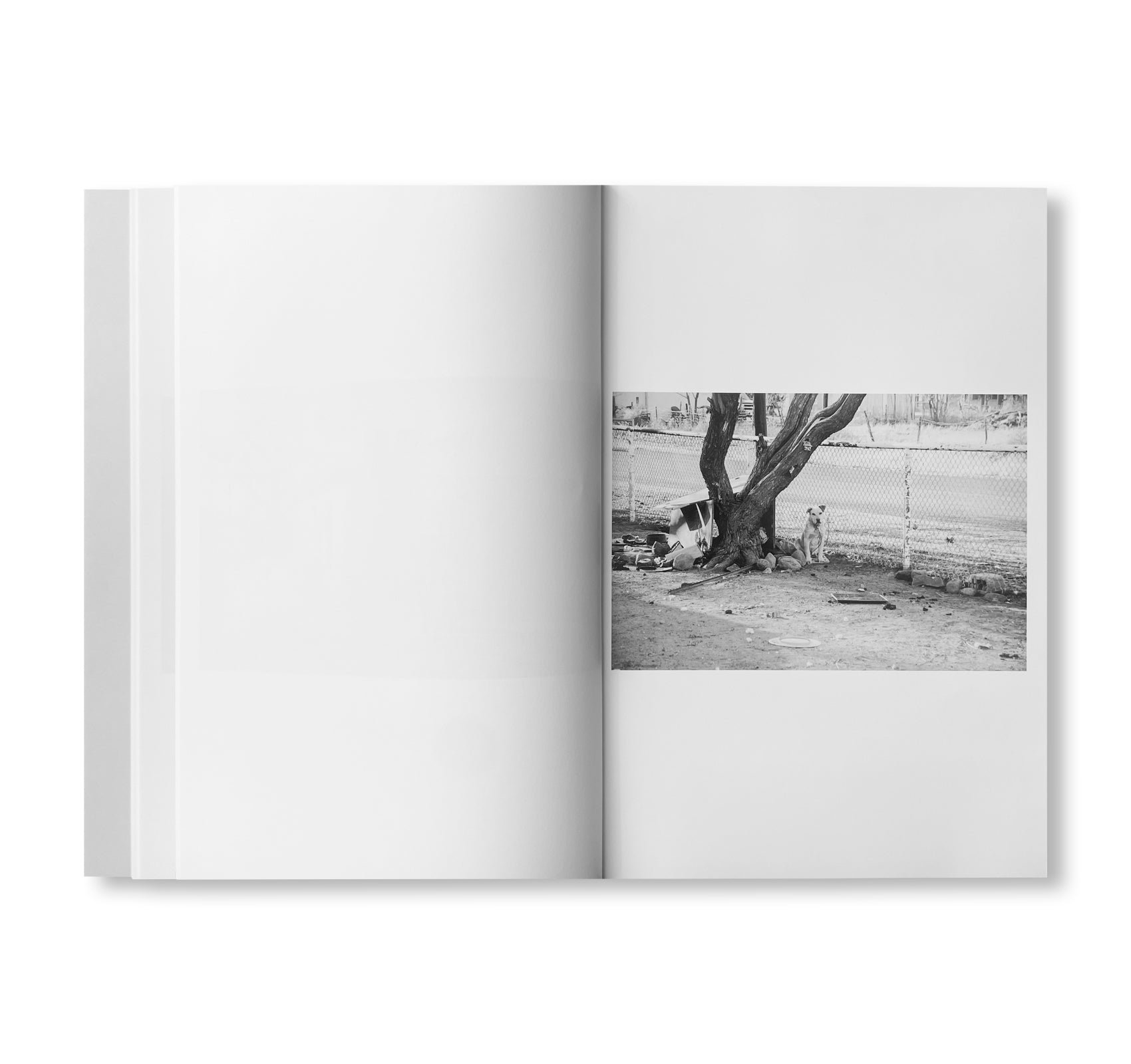 WESTTEXASPSYCHOSCULPTURE by Christopher Wool [SIGNED]