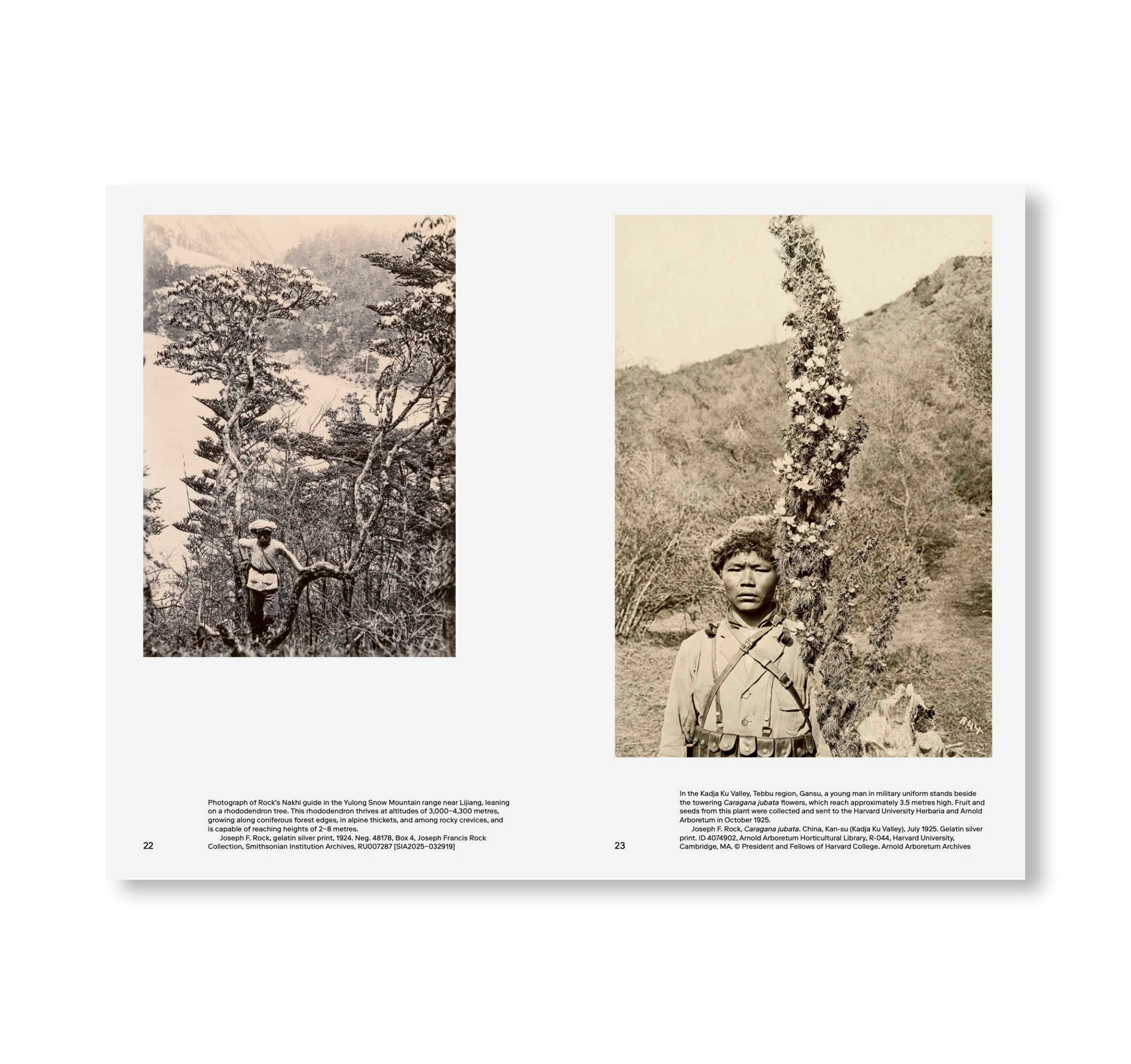 ZOMIA GARDEN by Yutong Lin