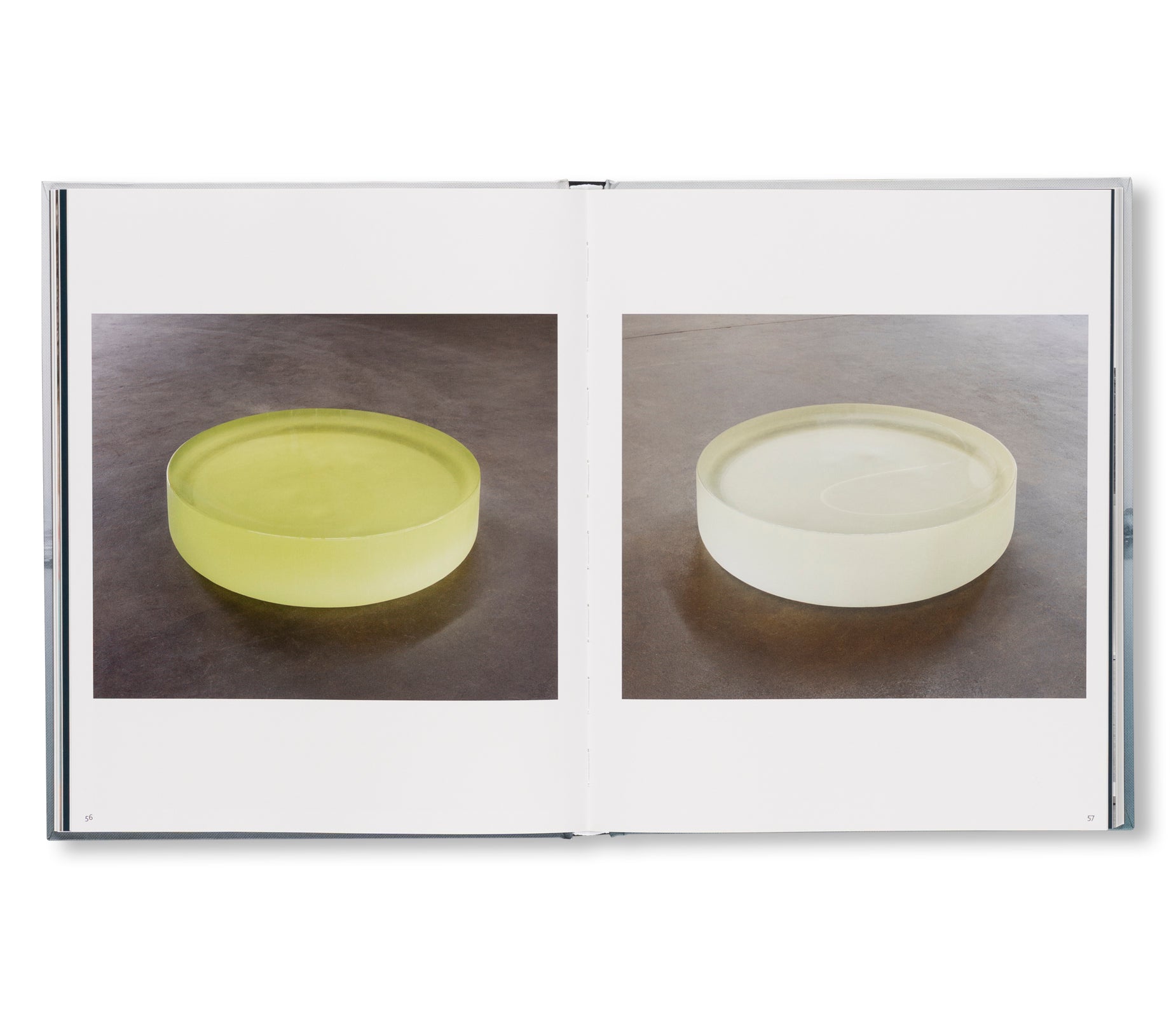 RONI HORN: WATER WATER ON THE WALL, YOU’RE THE FAIREST OF THEM ALL by Roni Horn