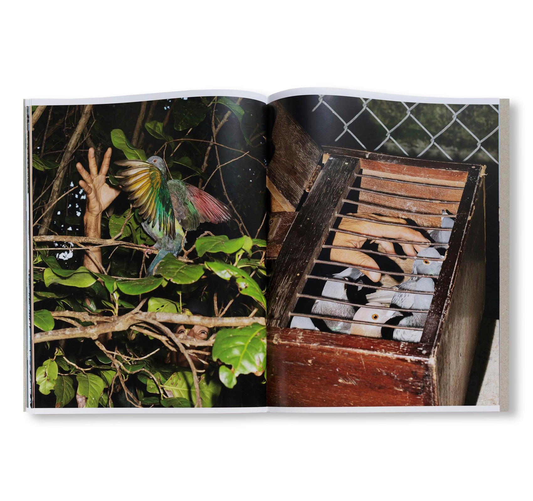 PICADERO by Carlos Jaramillo