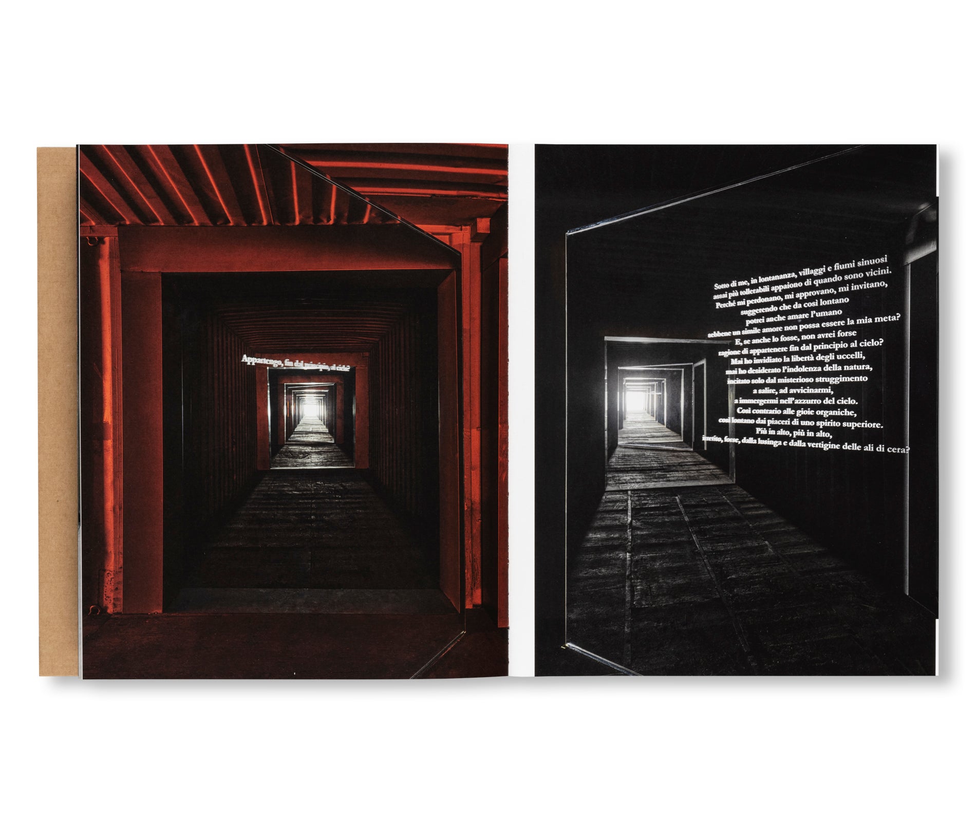 ICARUS by Yukinori Yanagi