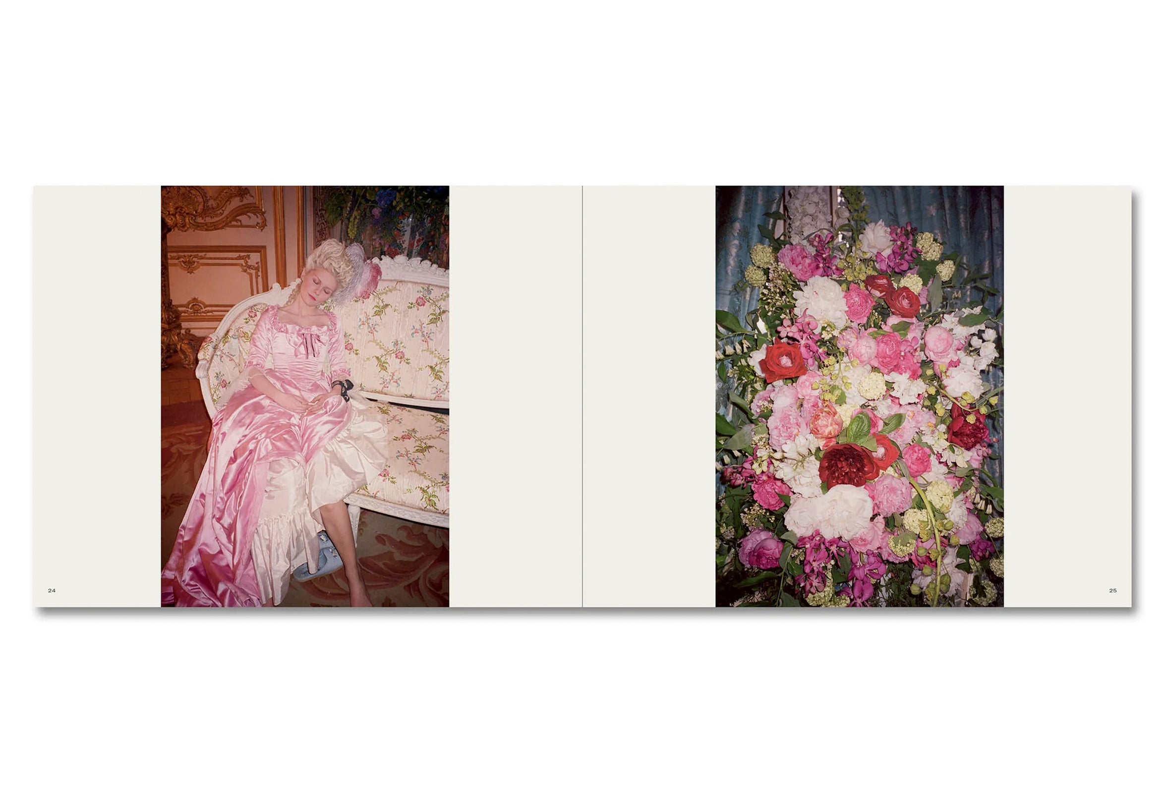 MAKING MARIE ANTOINETTE by Andrew Durham