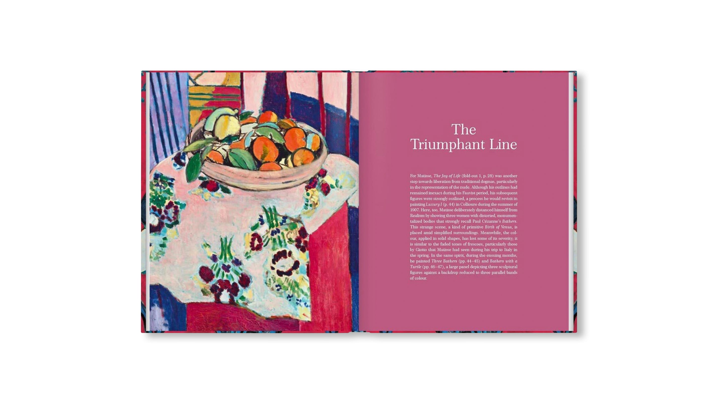 MATISSE - THE BIGGER PICTURE by Anne Sefrioui