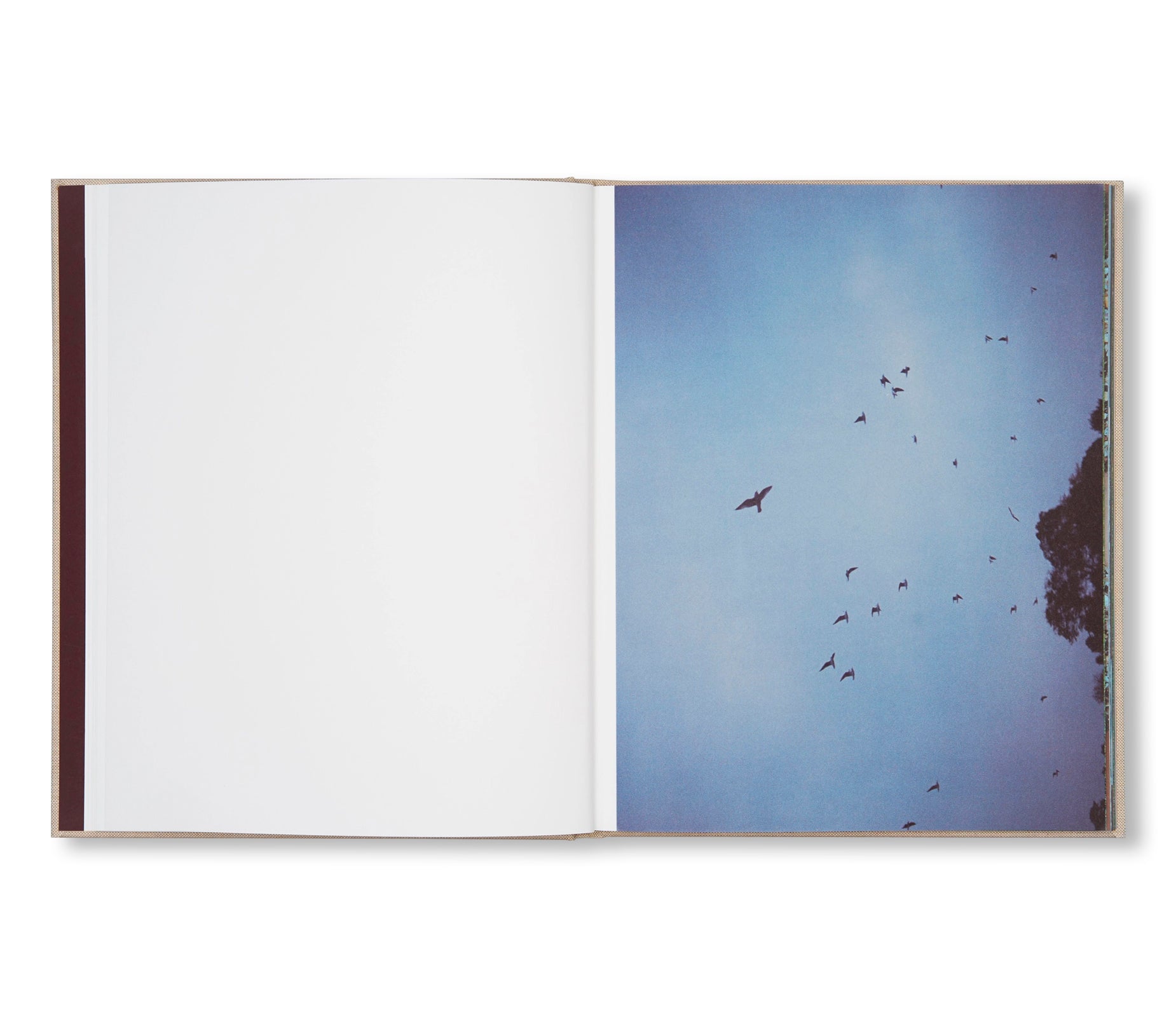 KUMO / 雲 by Osamu Yokonami [SPECIAL EDITION]