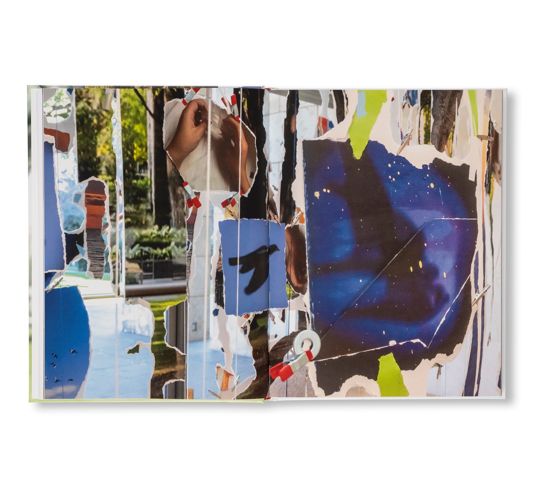 SARAH SZE by Sarah Sze