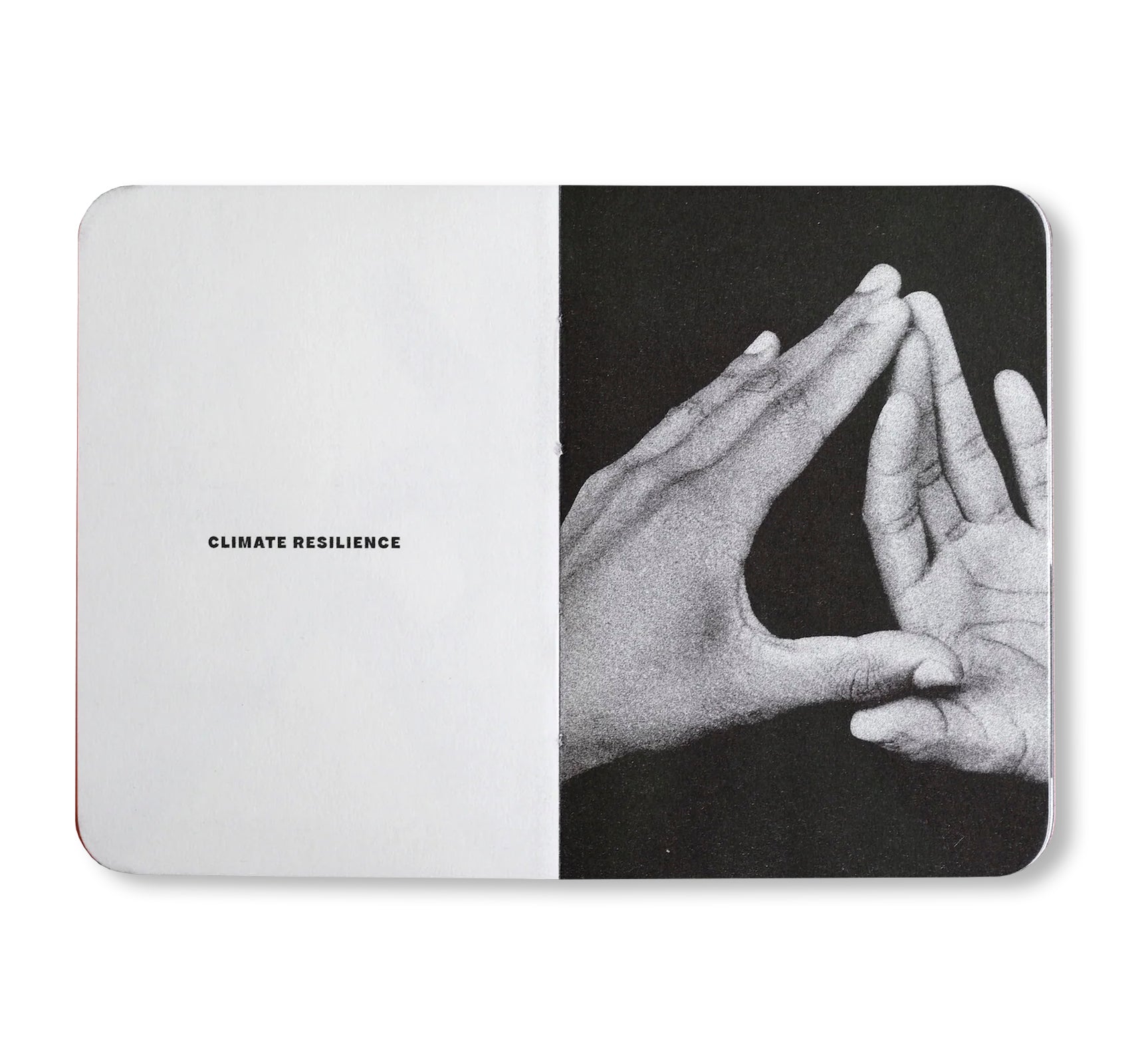 THE SMALL BOOK OF ENDANGERED GESTURES by Bruce Eesly