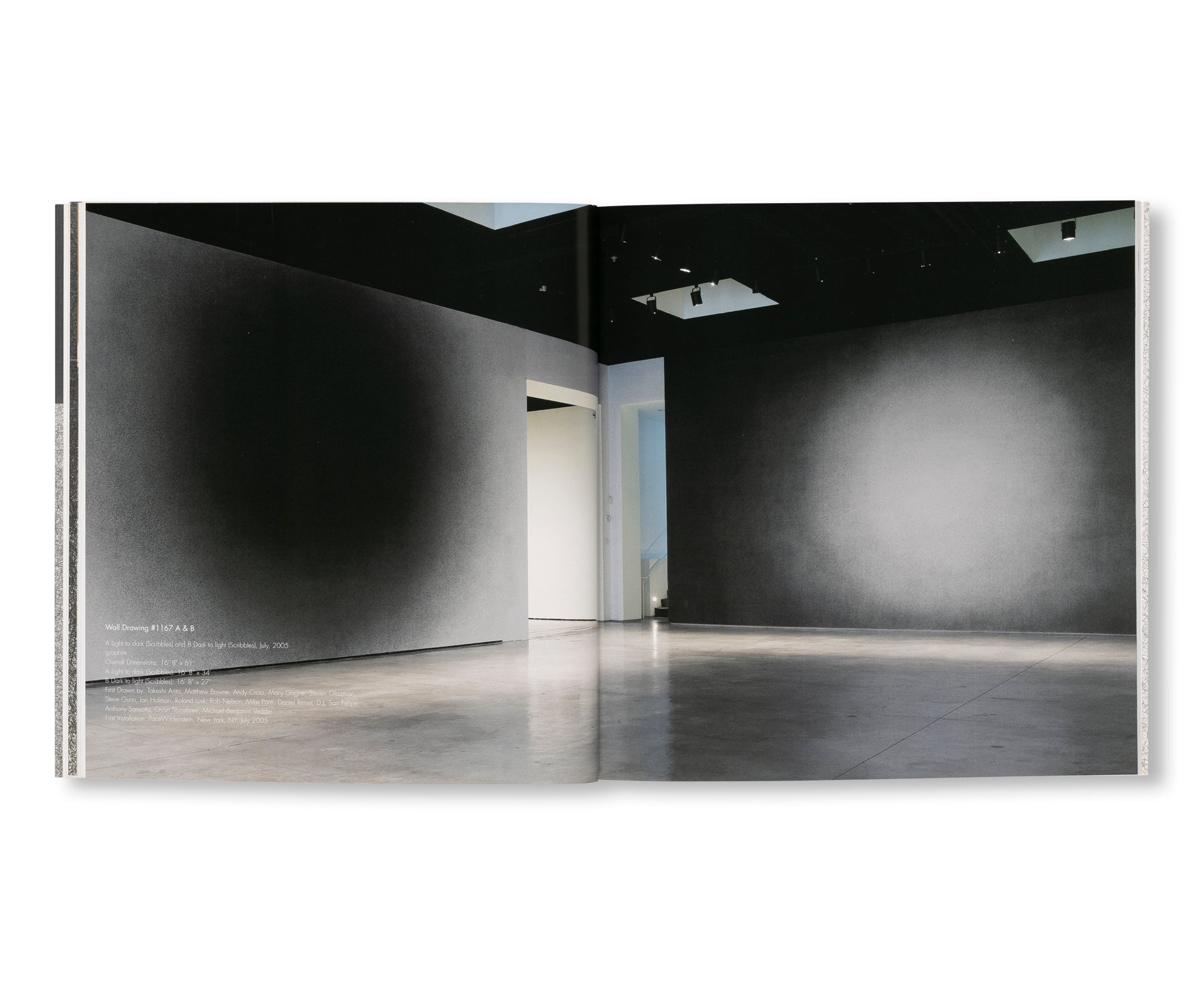 SCRIBBLE WALL DRAWINGS by Sol LeWitt