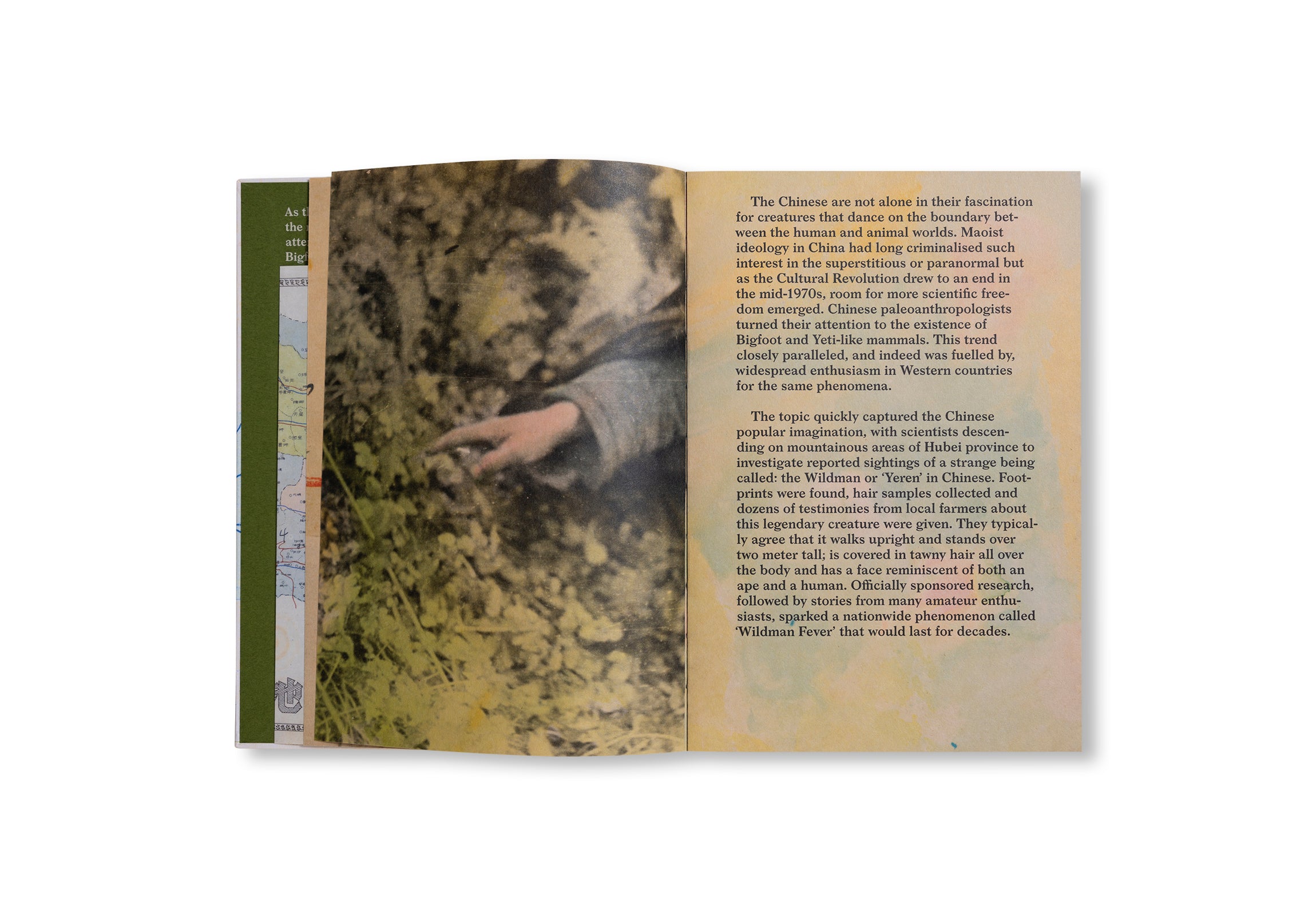 WILDMAN FEVER! by Ruben Lundgren