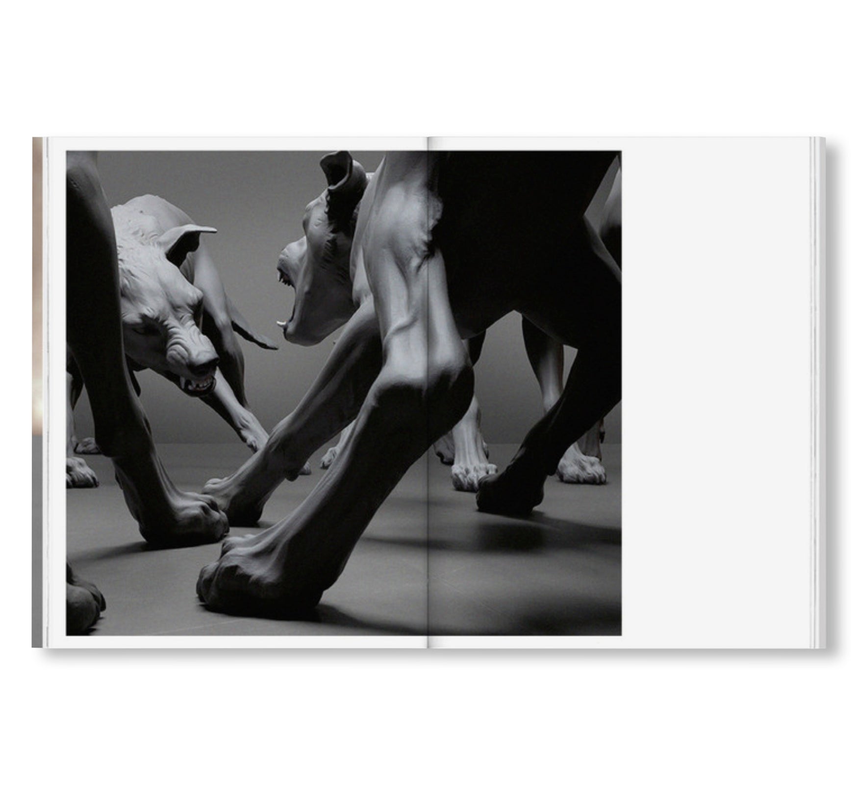 ENCOUNTER by Ron Mueck – twelvebooks