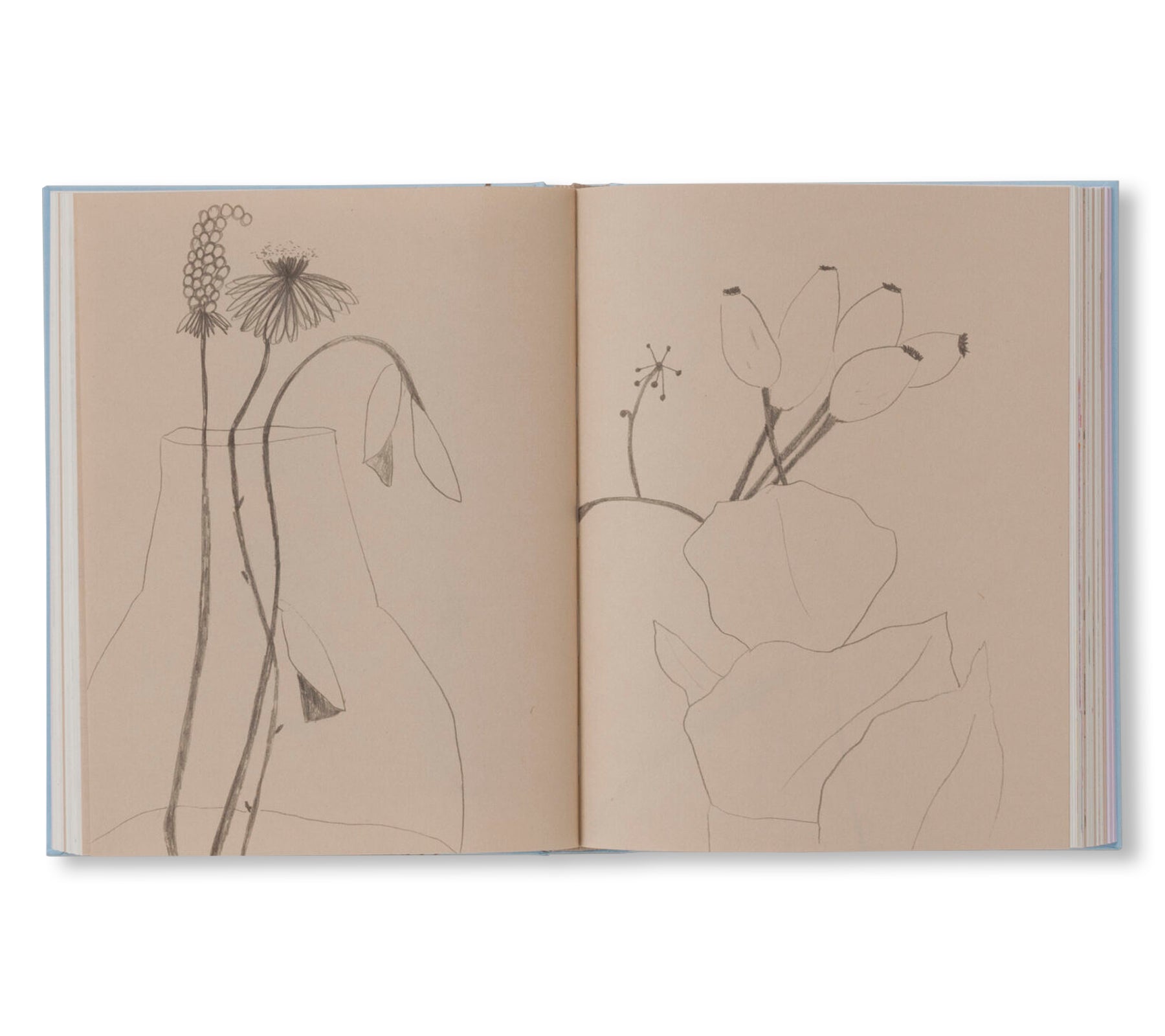 CARNETS by Johanna Tagada