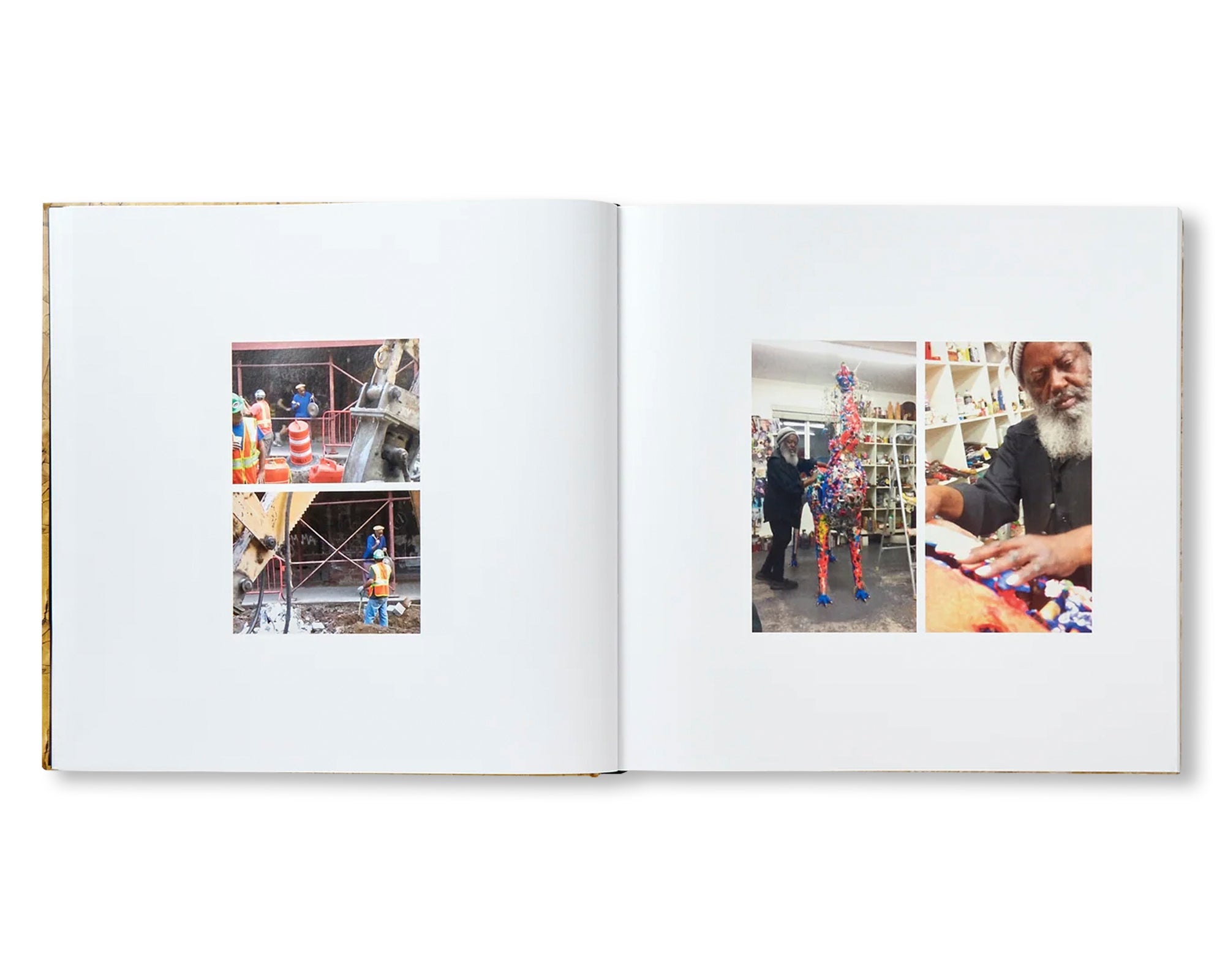 DAVID HAMMONS by David Hammons (HAUSER & WIRTH)
