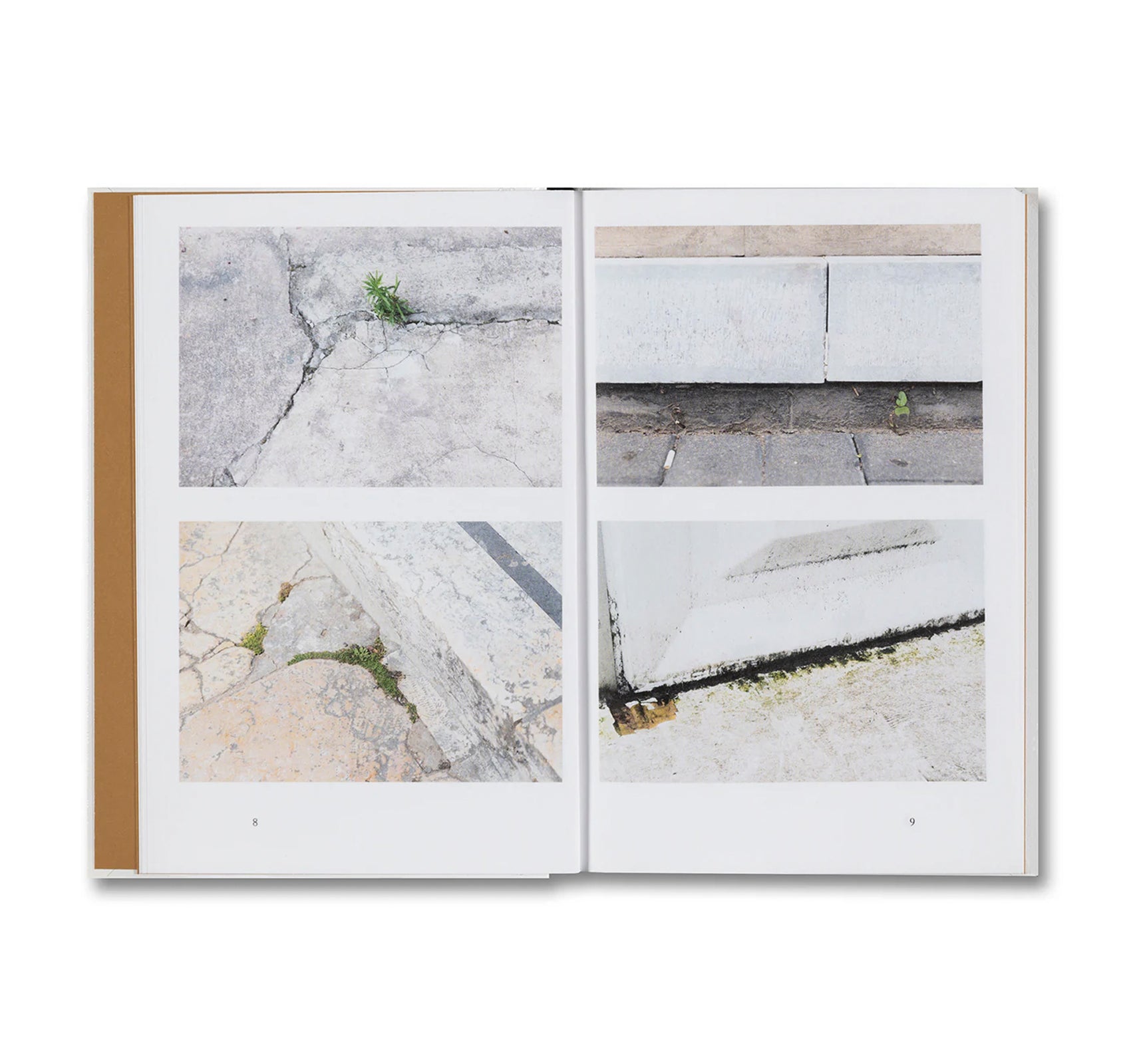 WEEDS: A GERMINATING THEORY by Kwan Queenie Li