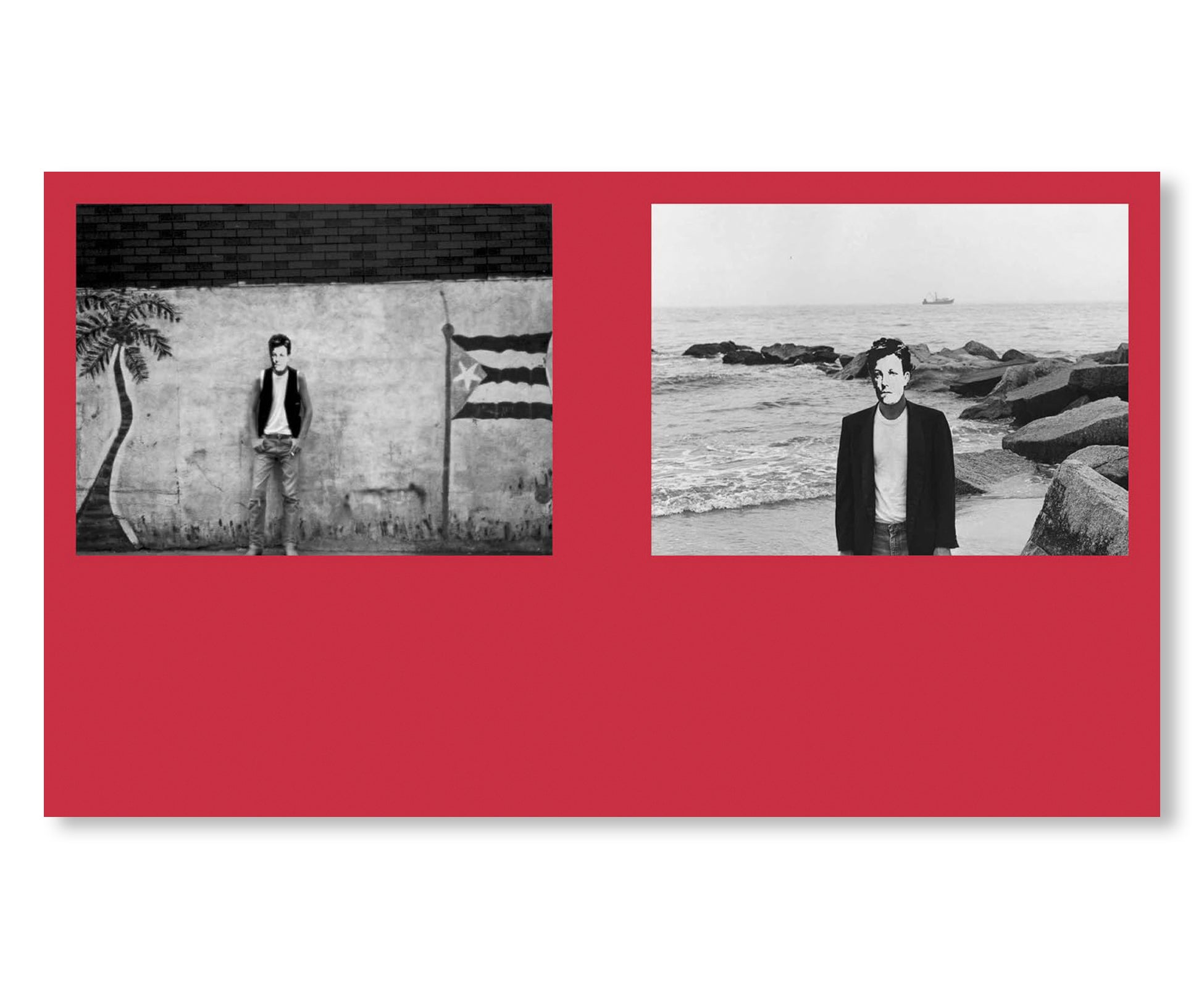 ARTHUR RIMBAUD IN NEW YORK by David Wojnarowicz