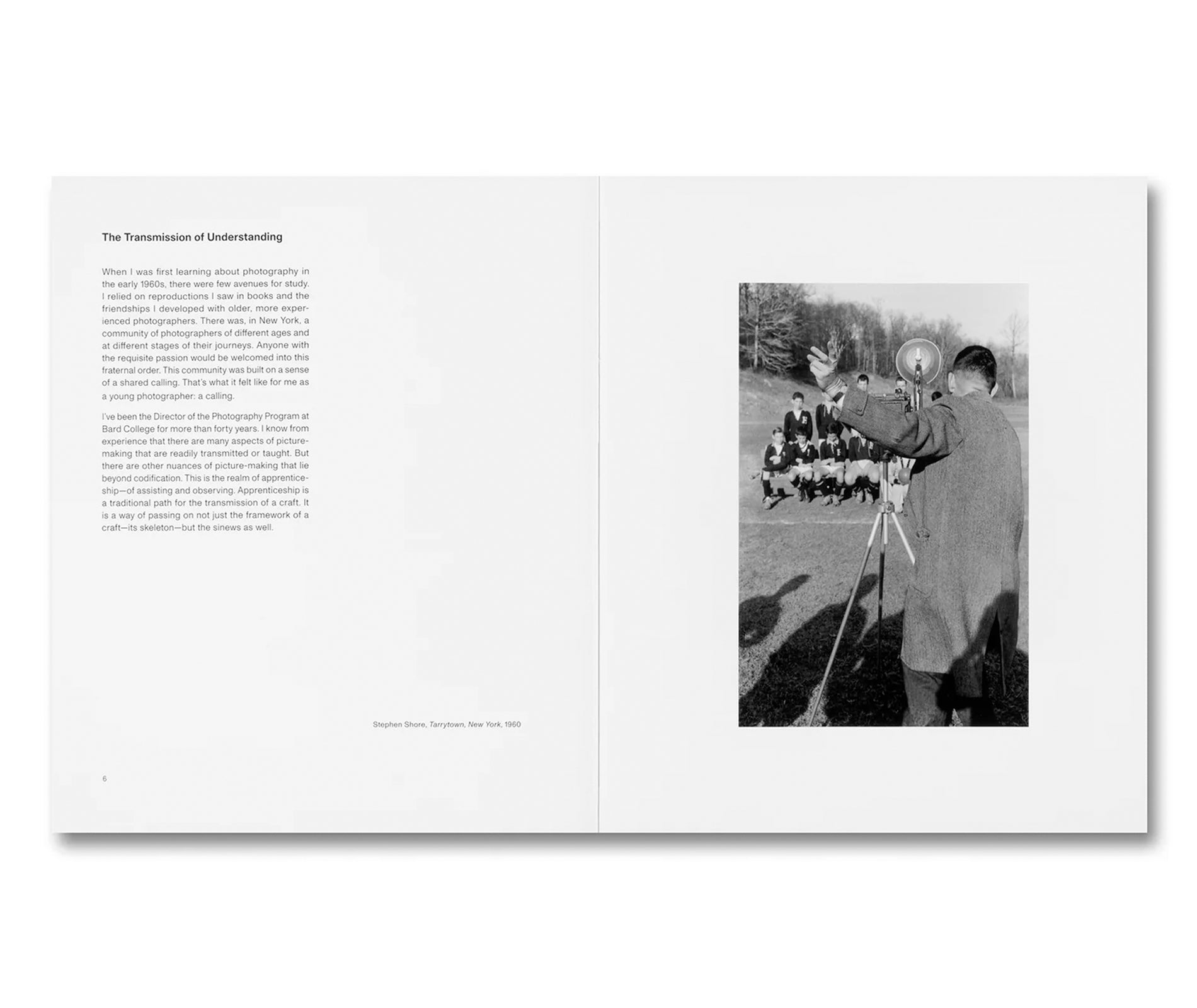 THE MENTAL IMAGE by Stephen Shore