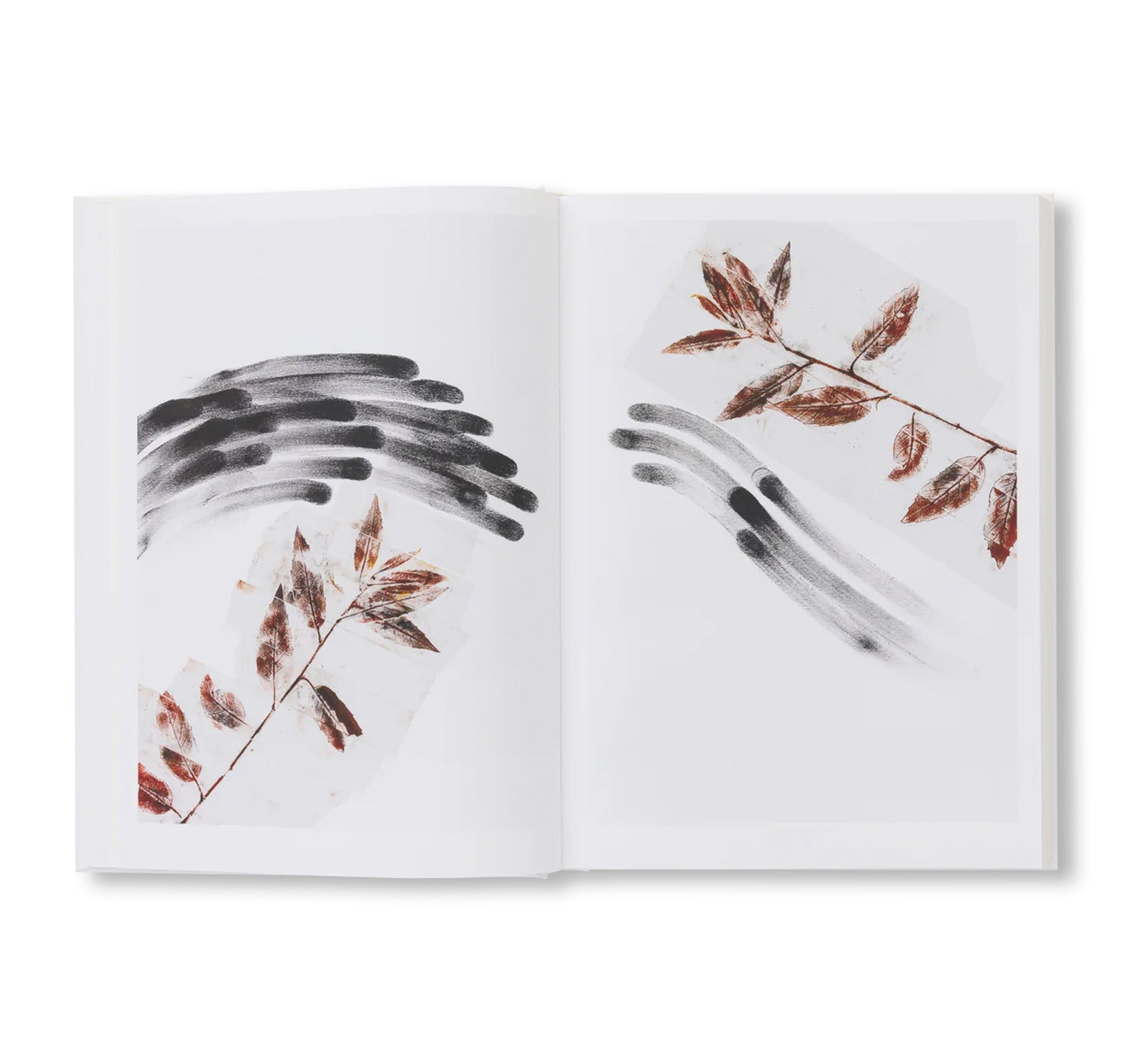 GIUSEPPE PENONE: THOUGHTS IN THE ROOTS by Giuseppe Penone