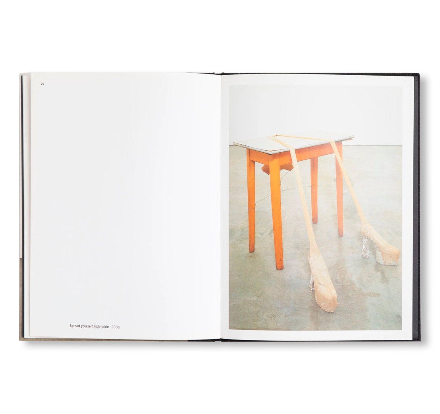GOD IS DAD by Sarah Lucas