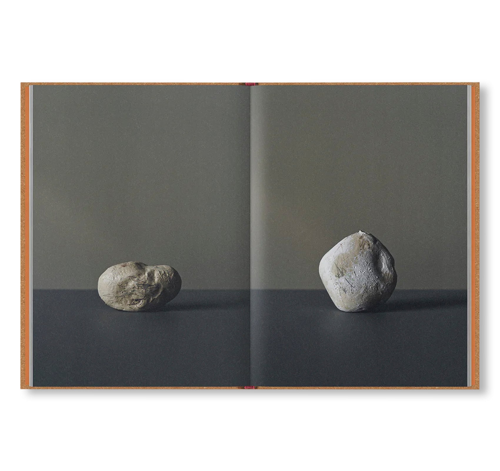 INDERGARTEN by Yellow Nose Studio