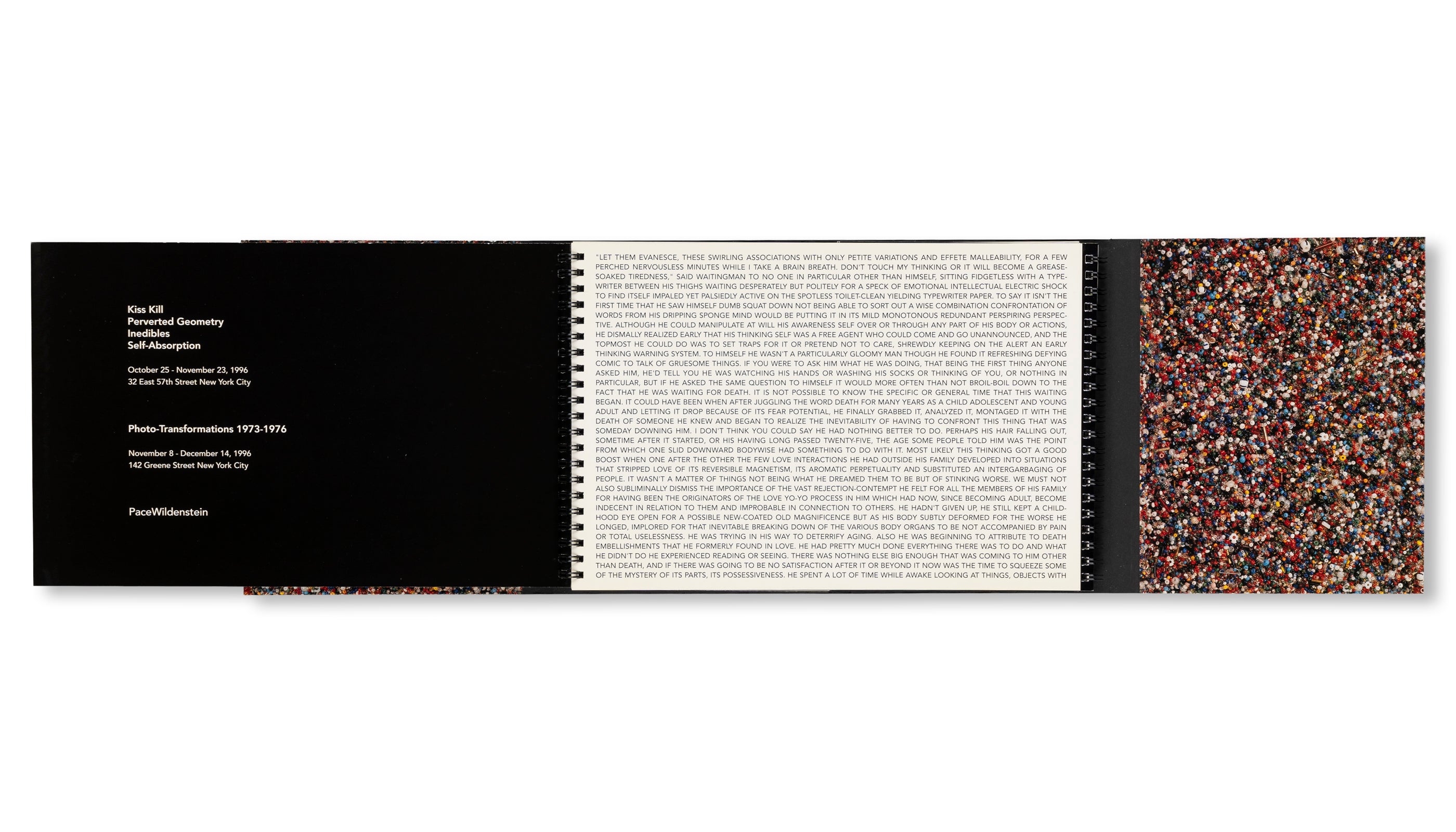 KISS KILL, PERVERTED GEOMETRY, INEDIBLES by Lucas Samaras