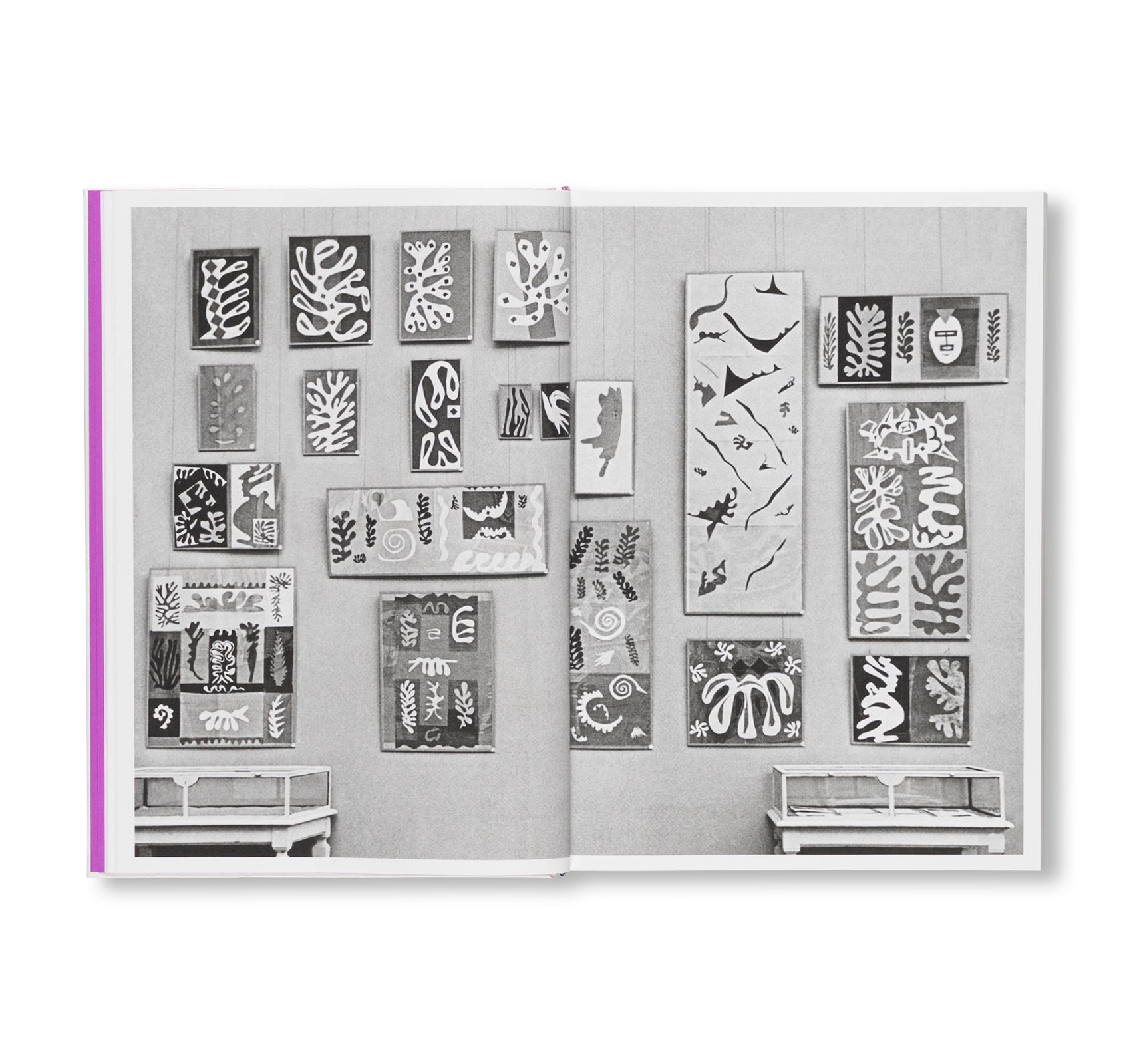 COLOUR UNBOUND: HENRI MATISSE 1941–1954 by Henri Matisse