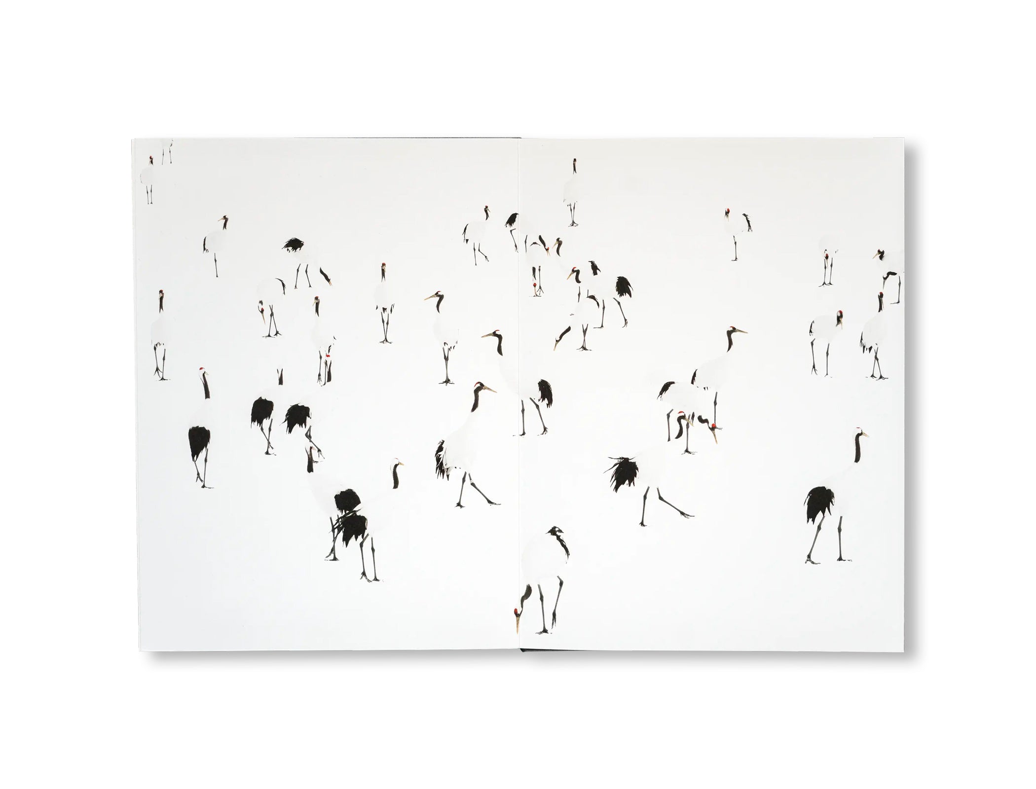 THE RED-CROWNED CRANE & THE END OF THE WORLD by Peter Granser