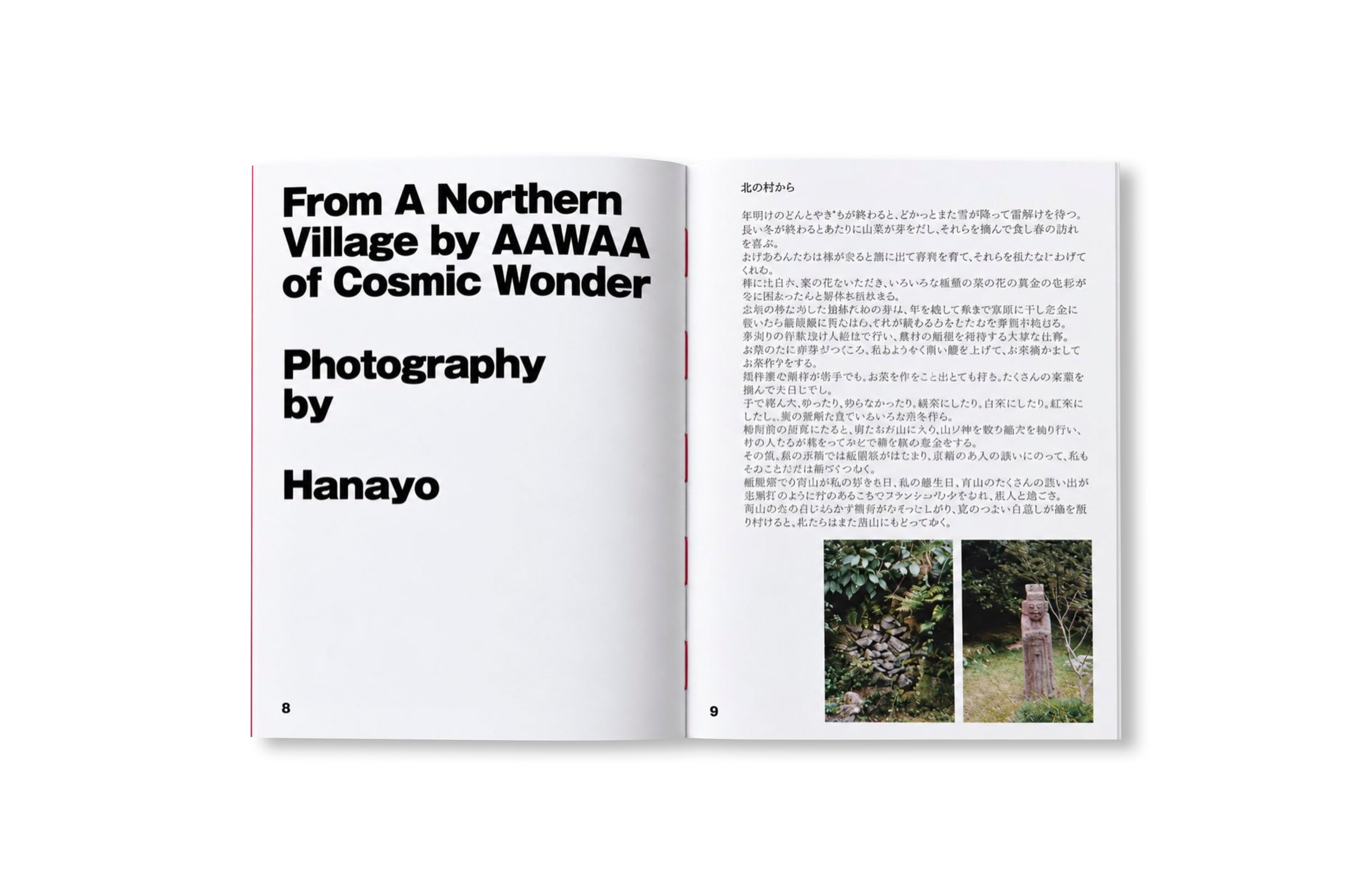 VISCOSE JOURNAL ISSUE 09: JAPAN