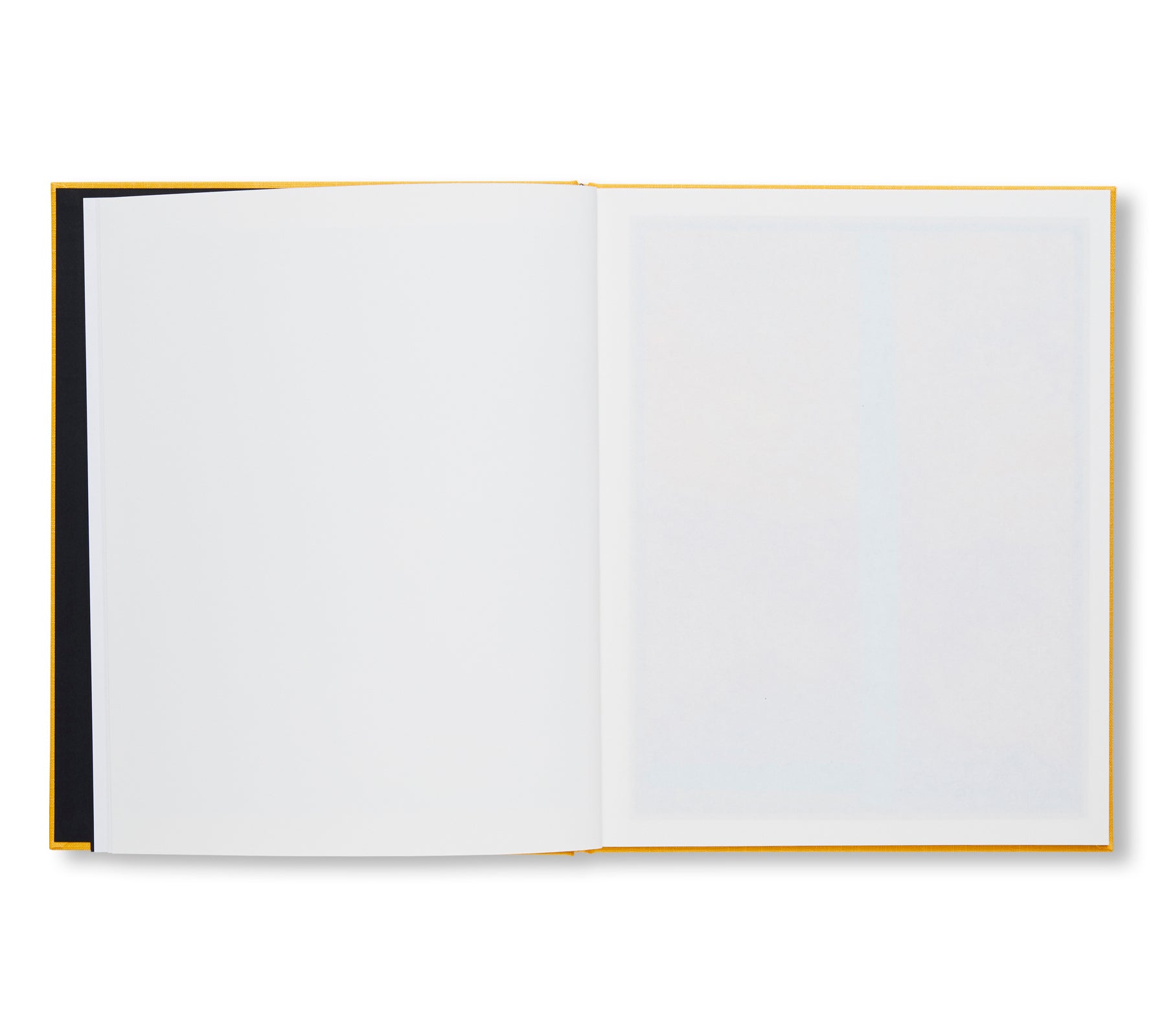 VERT by Sterling Ruby [SIGNED / NUMBERED]