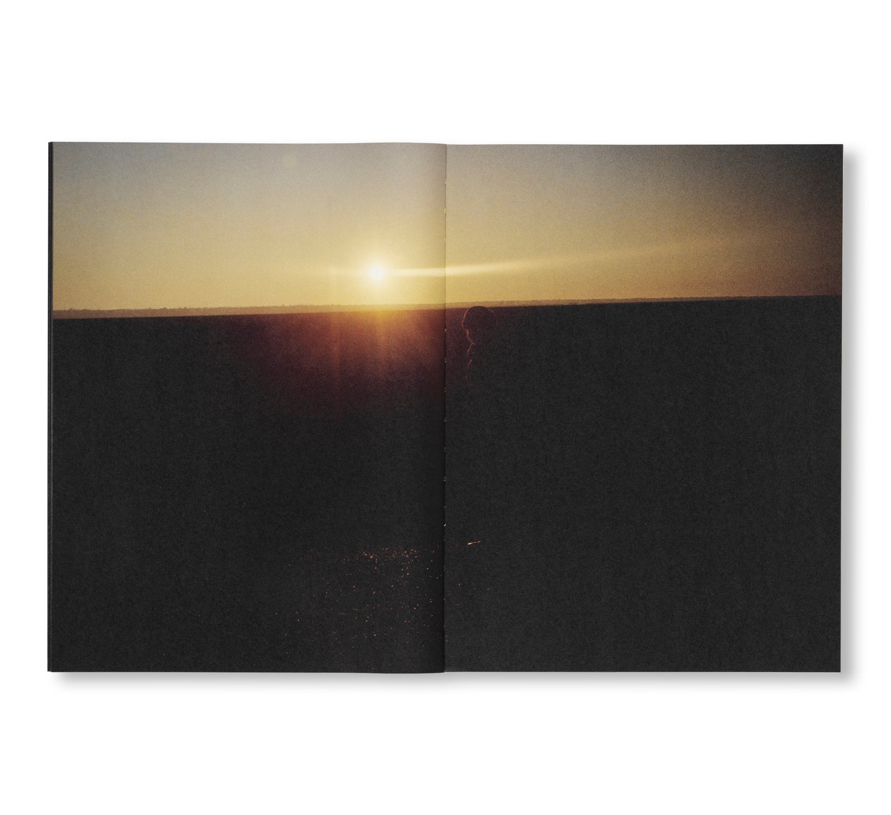 FAILING by Mike Brodie