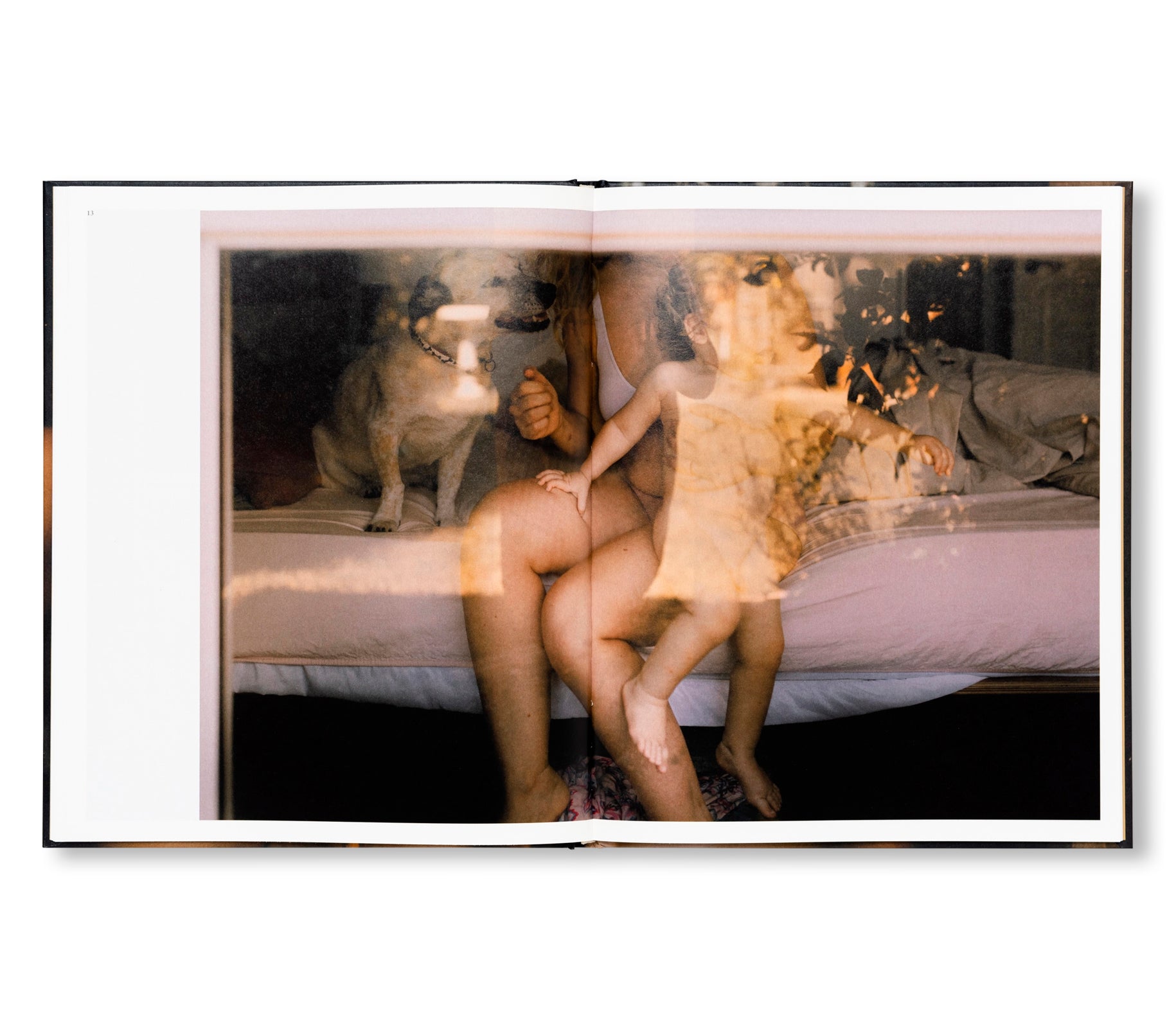BEHIND GLASS by Lisa Sorgini
