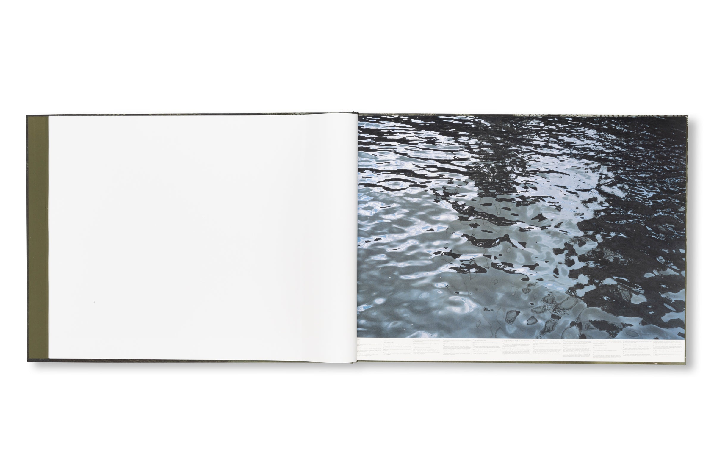 STILL WATER by Roni Horn
