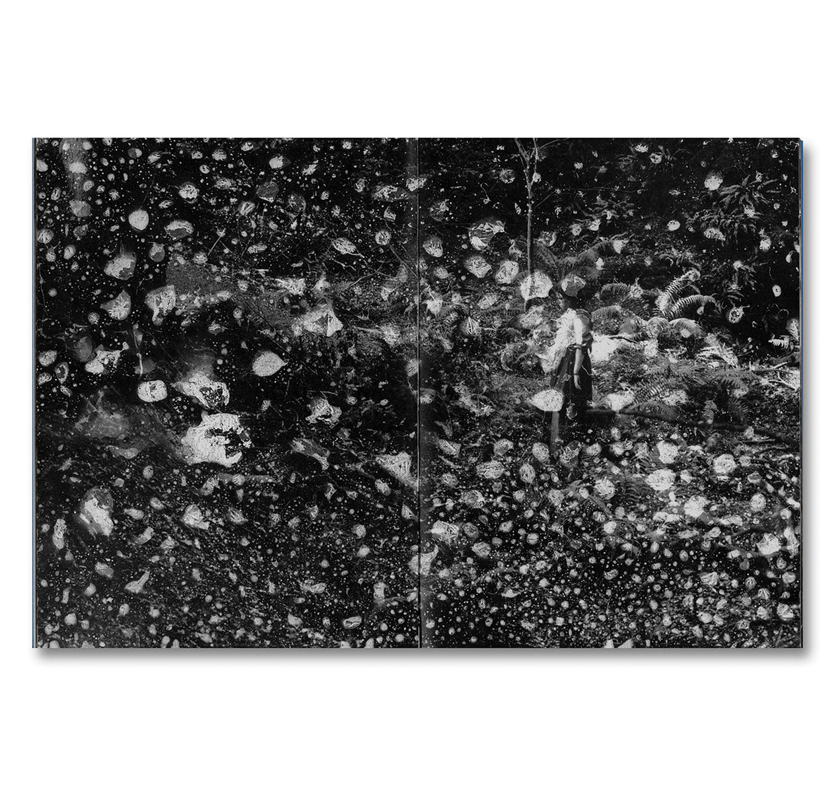 EVEN AS A SHADOW, EVEN AS A DREAM by Chloé Zhao, Jessie Buckley, Agata Grzybowska