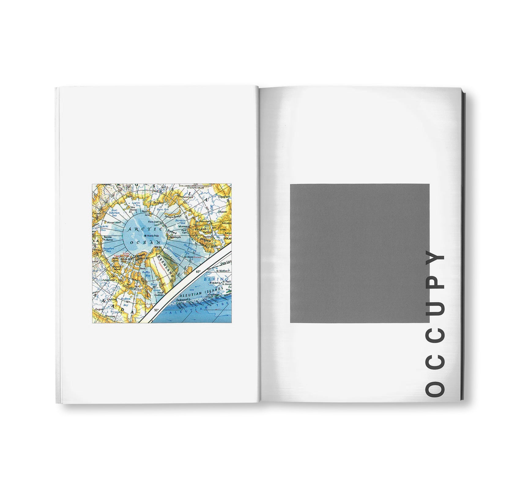 MANY by Peter Downsbrough