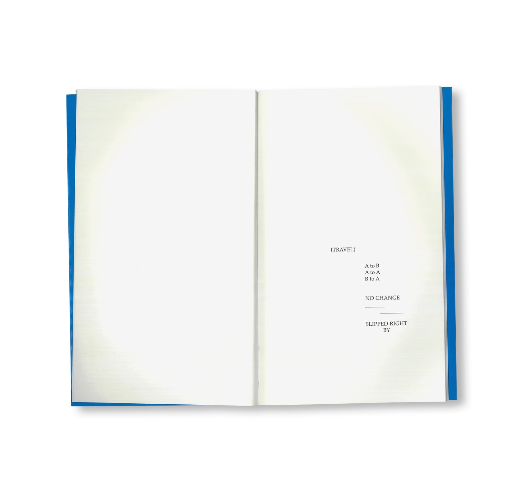 [TILL by Peter Downsbrough [FRENCH EDITION]