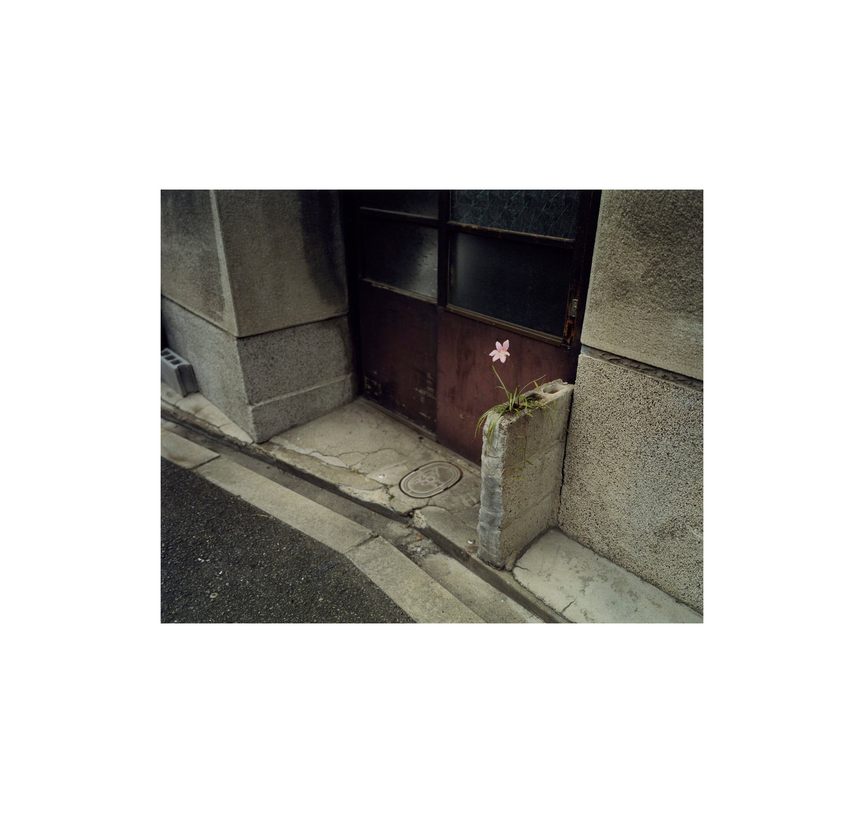 THE ARTIST’S ATLAS: TOKYO